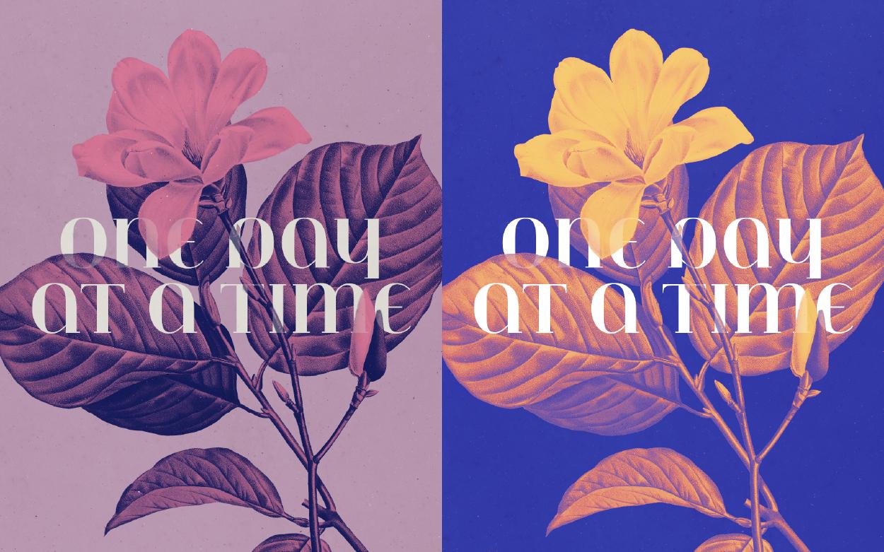 Botanical Greeting Cards - image 10 - student project