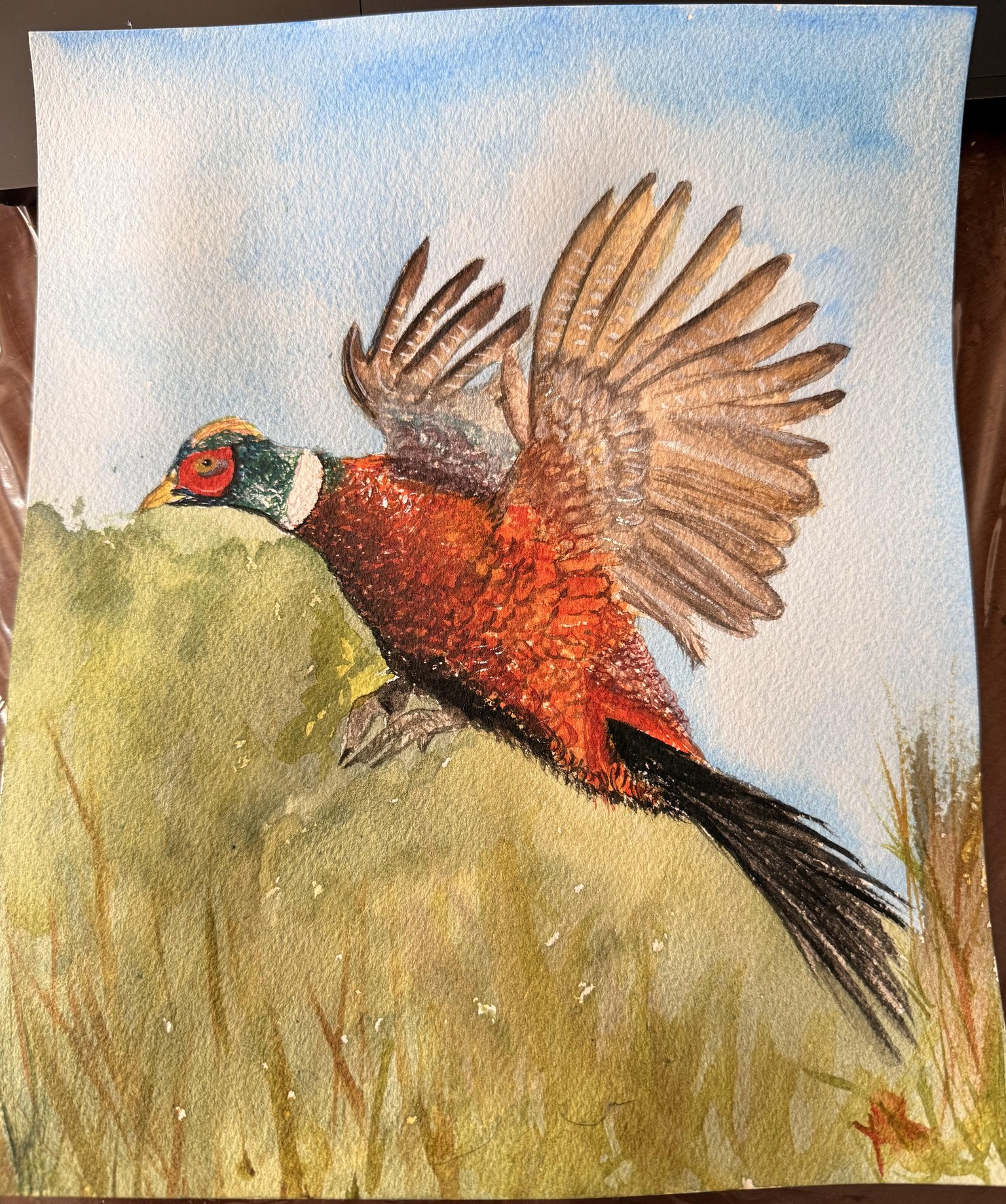 Another Bird - image 1 - student project
