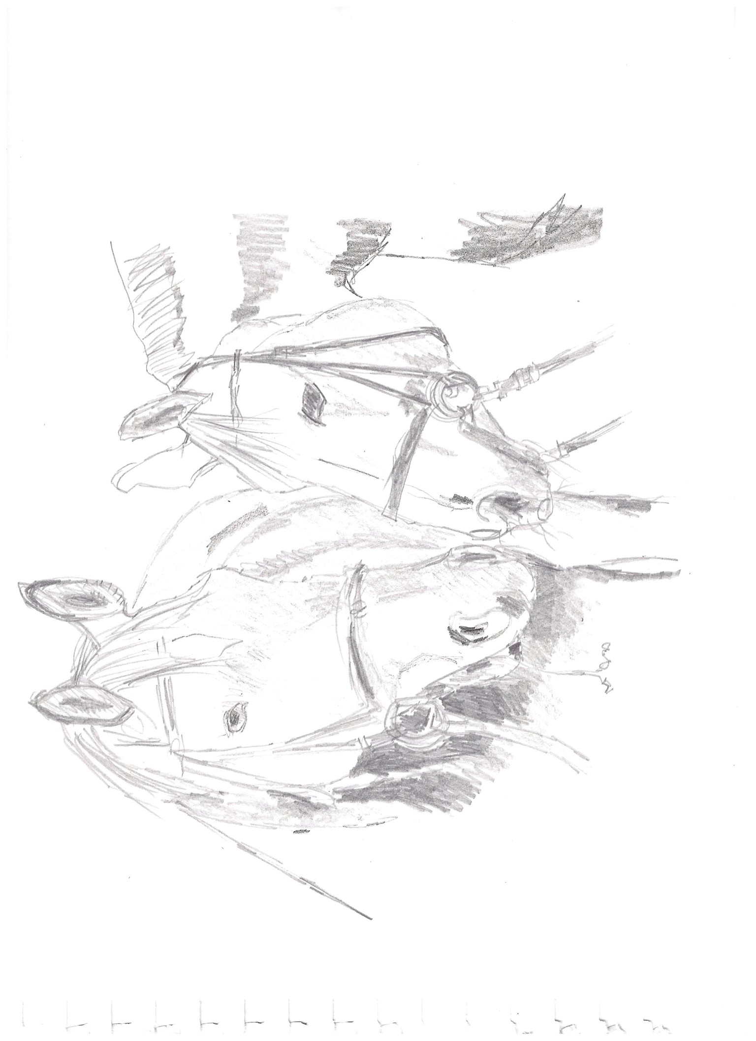 Upside down drawing - image 1 - student project