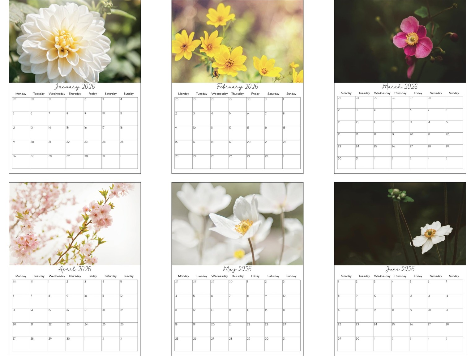 Multiple calendars from one template - image 6 - student project