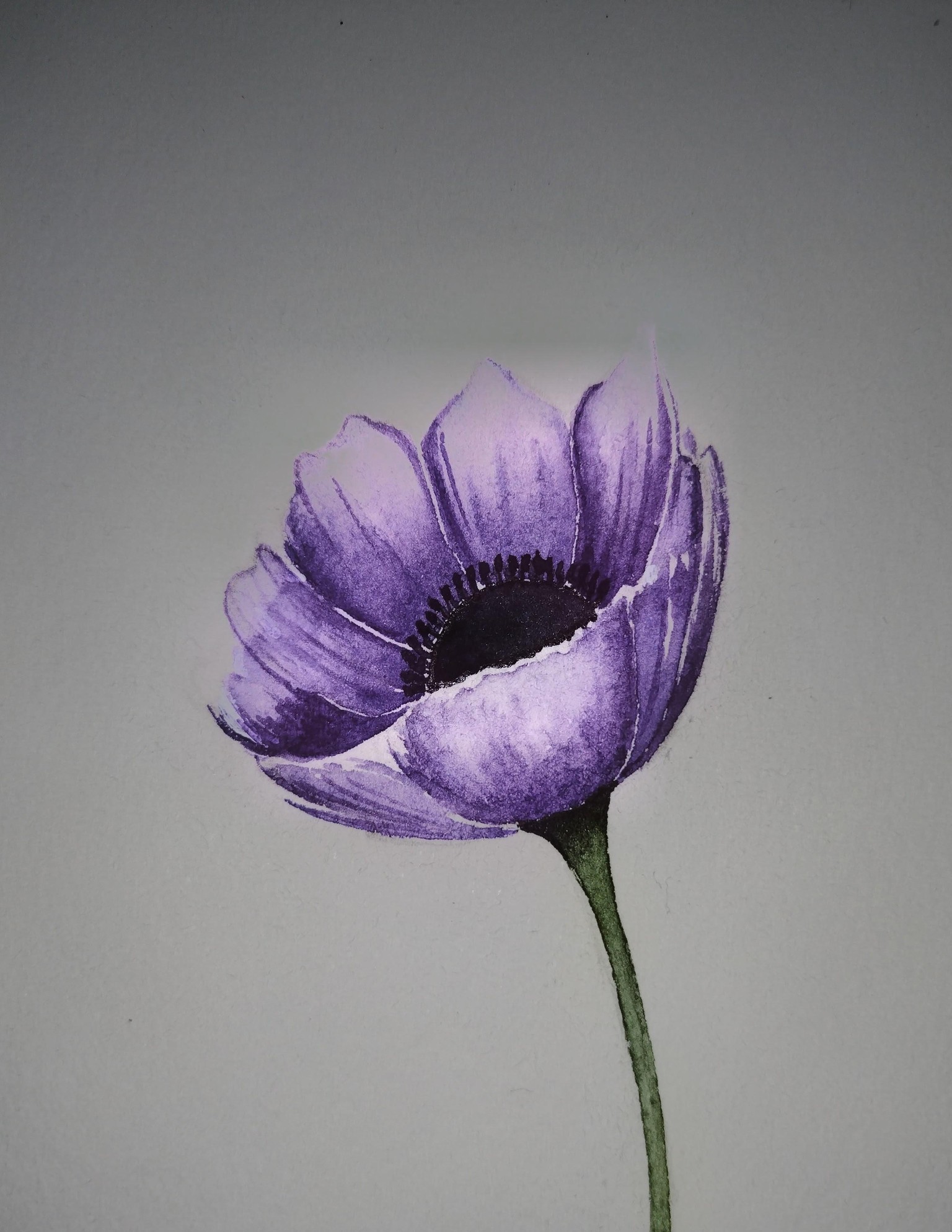 Anemone - image 1 - student project