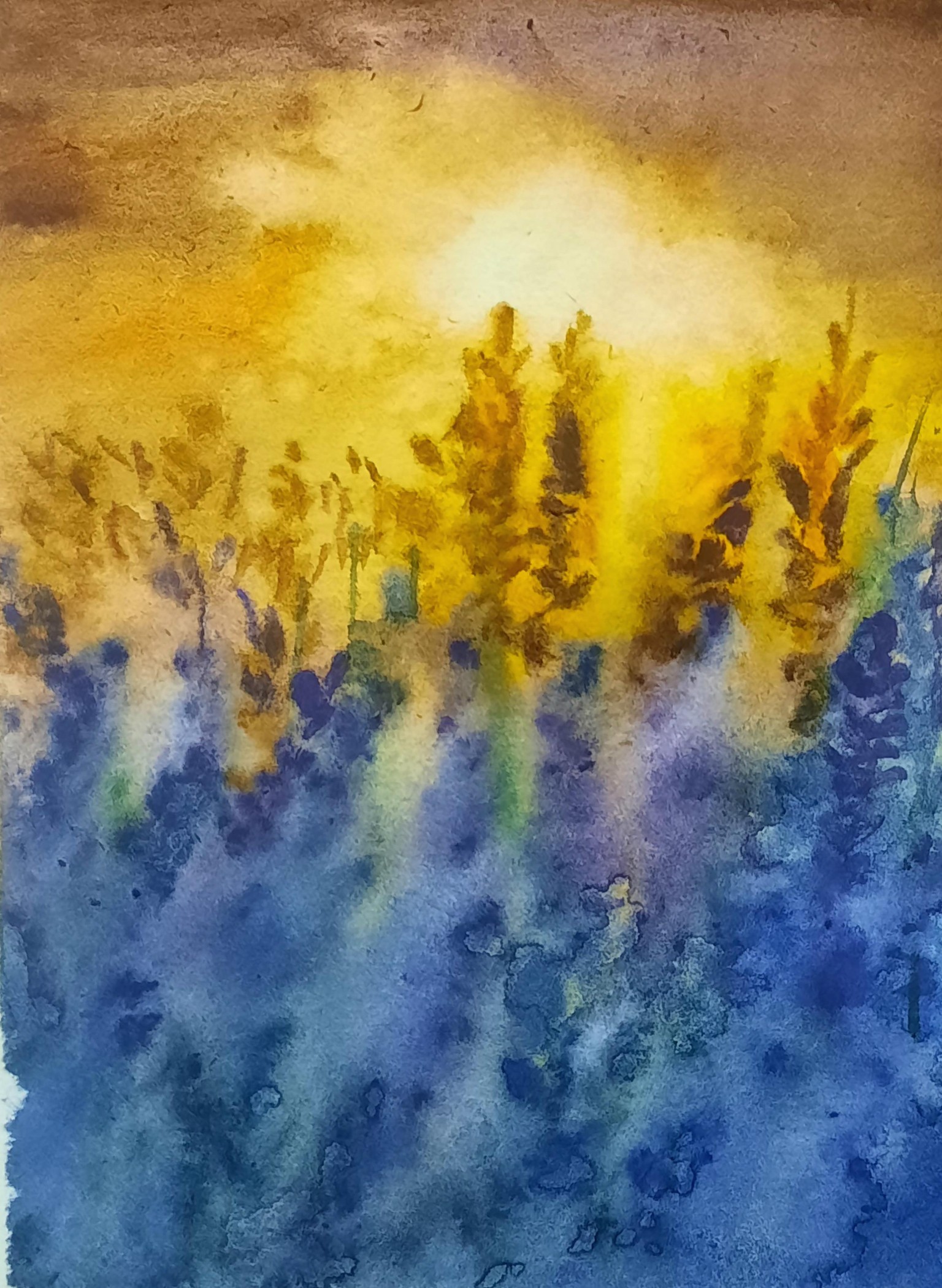 Spring - image 5 - student project