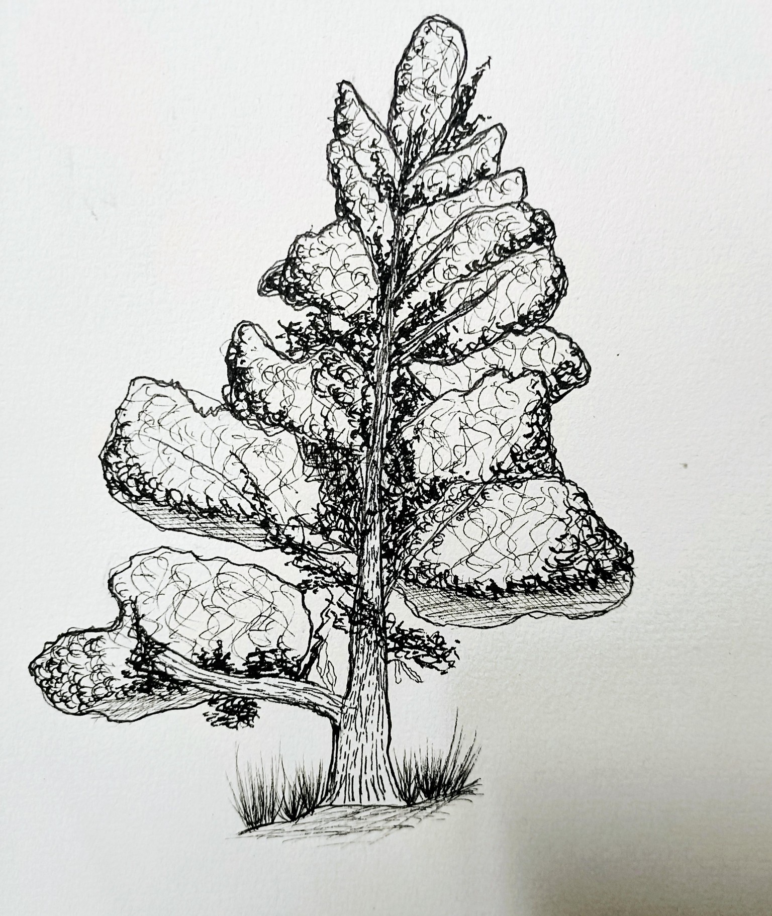Pen Drawing for Beginners - A Textured Tree - image 2 - student project