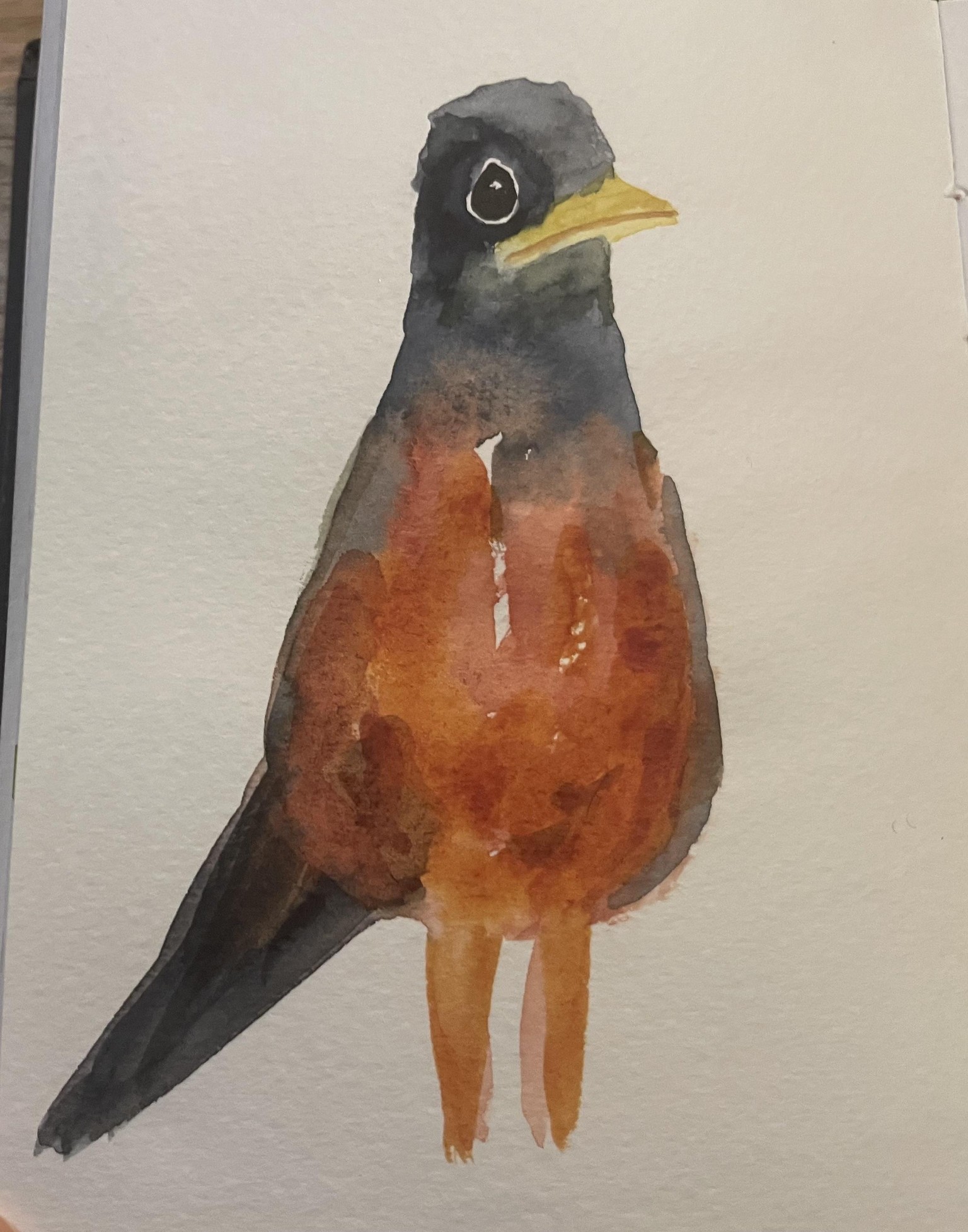 Robin with fat legs - image 1 - student project
