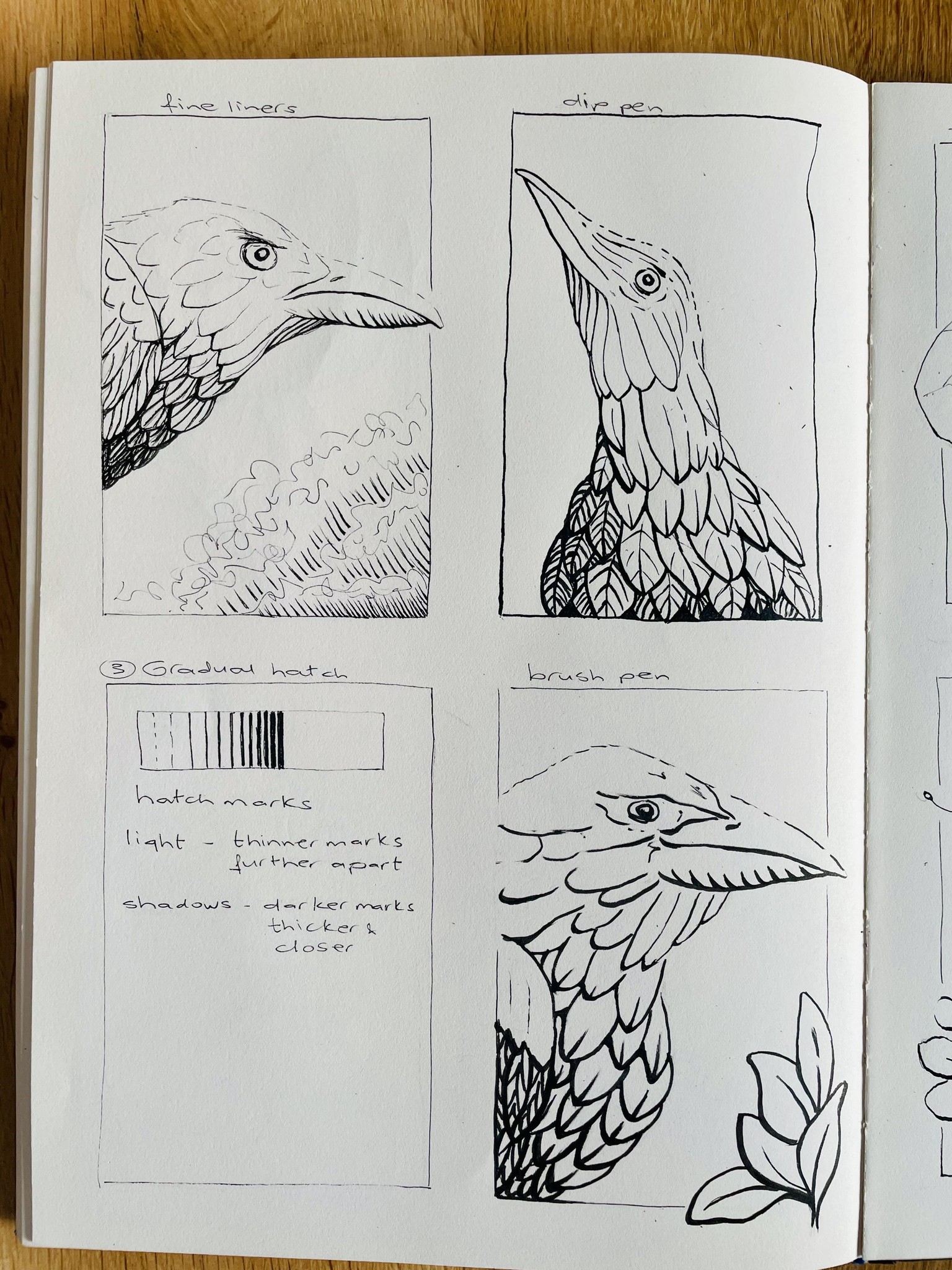 Rendering in pen and ink - image 4 - student project