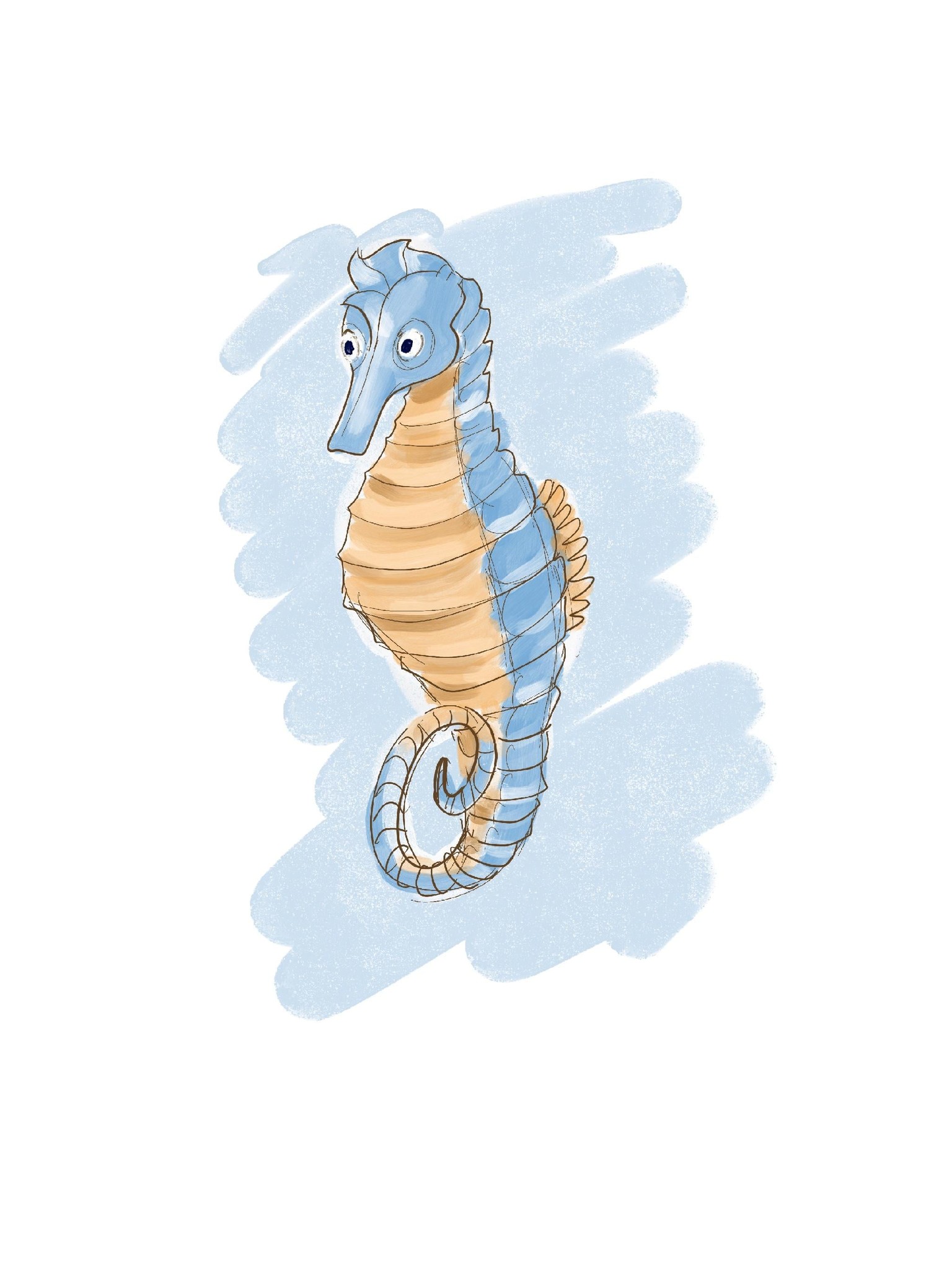 Seahorse - image 1 - student project