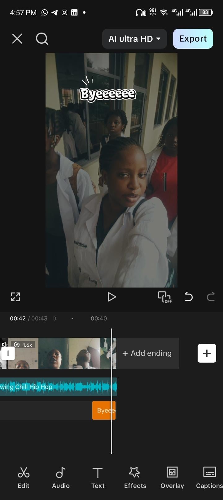 A MINI SCHOOL VLOG - image 1 - student project