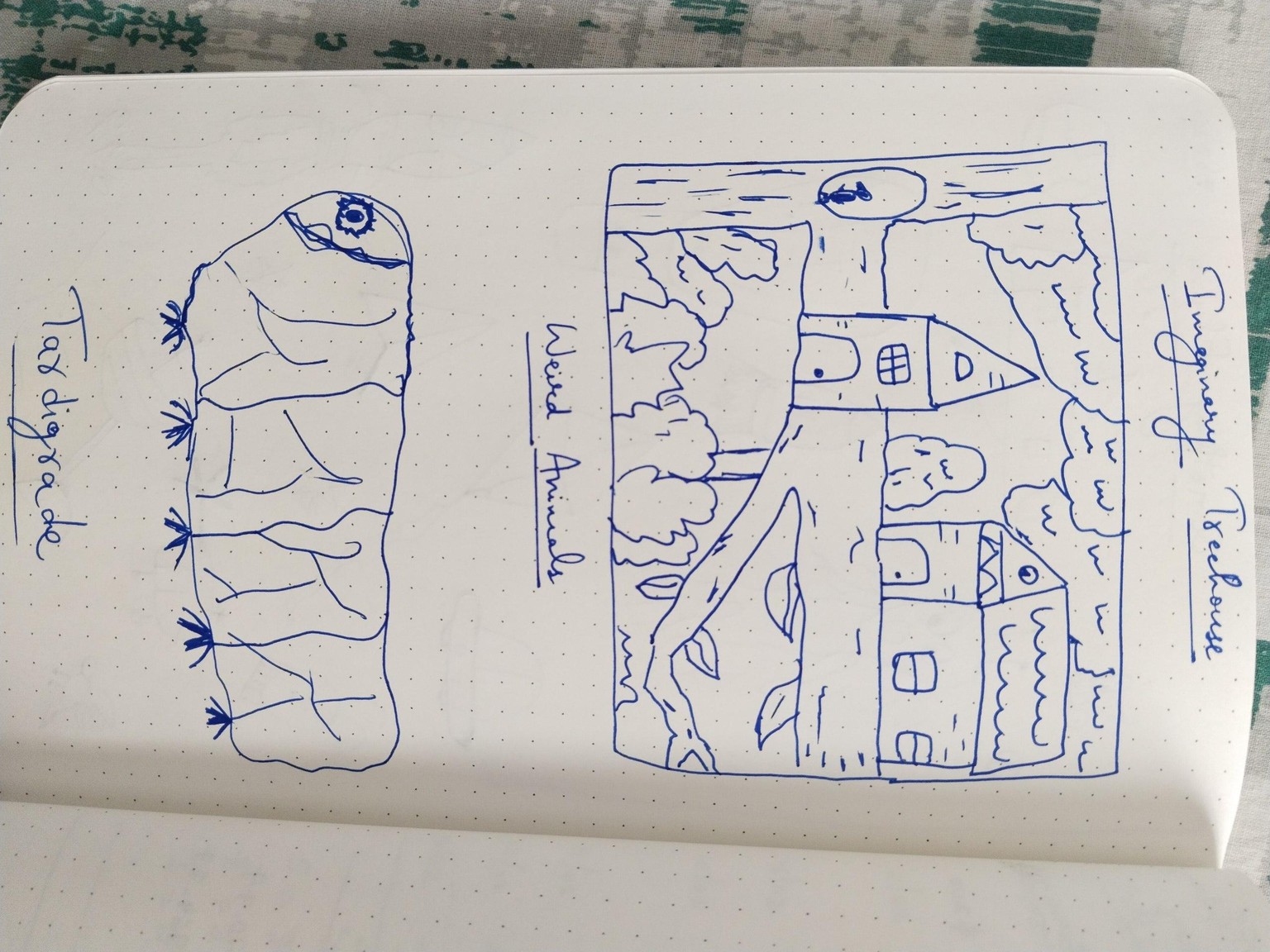 7 Day Challenge - image 3 - student project