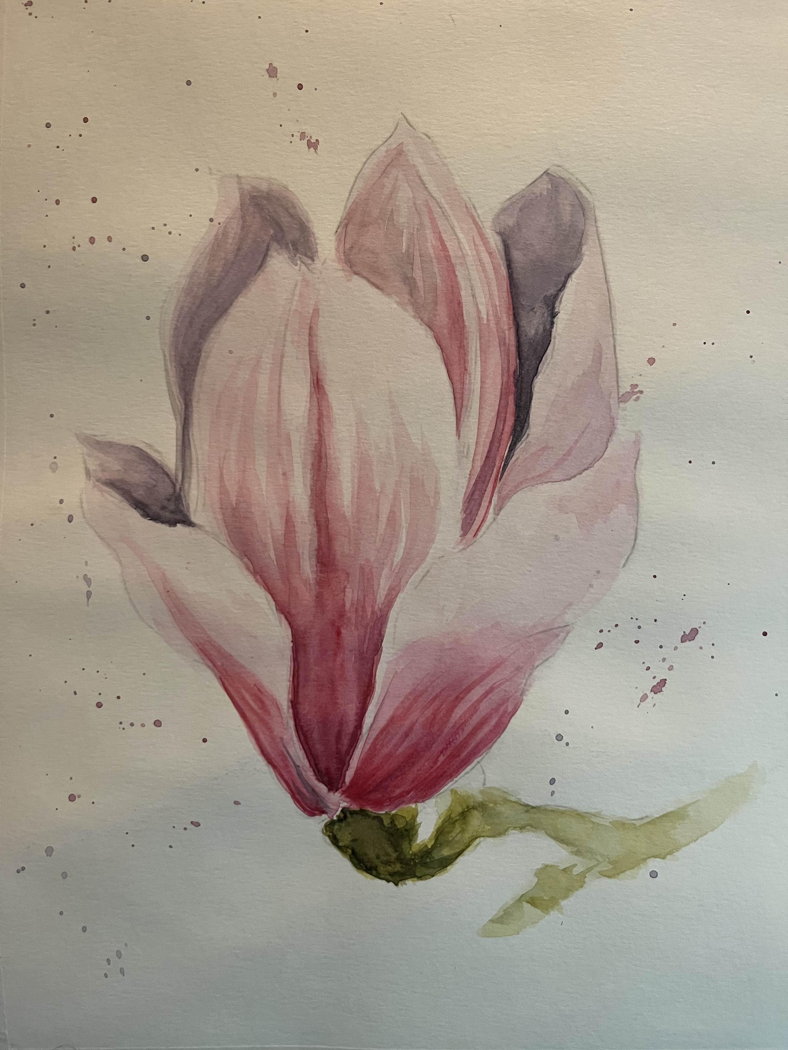 Magnolia Flowers - image 3 - student project