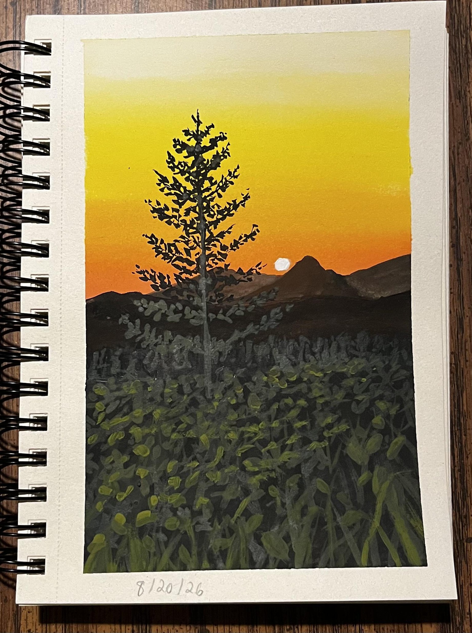 Gouache landscapes - image 3 - student project