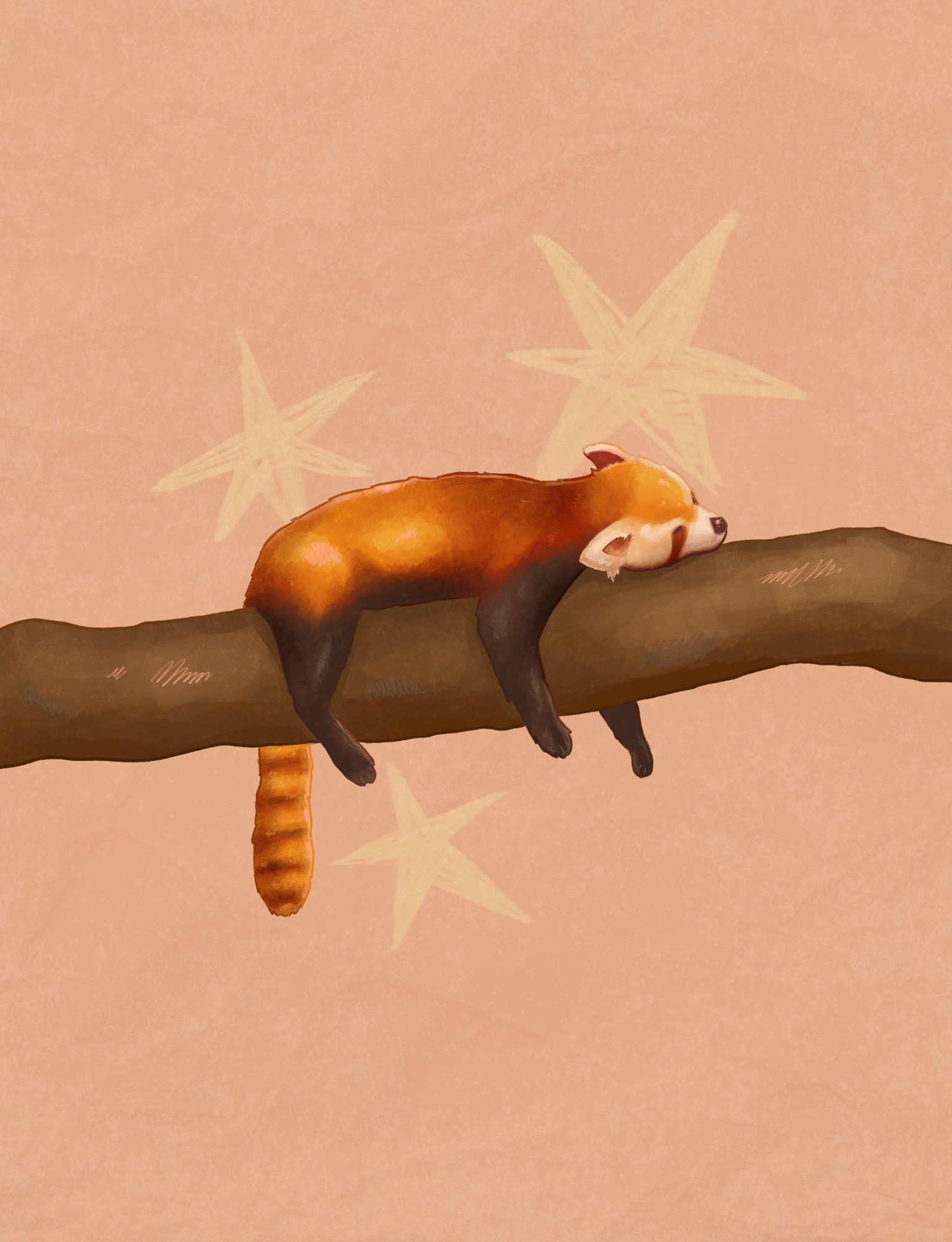 Red panda using the shape method:) - image 1 - student project