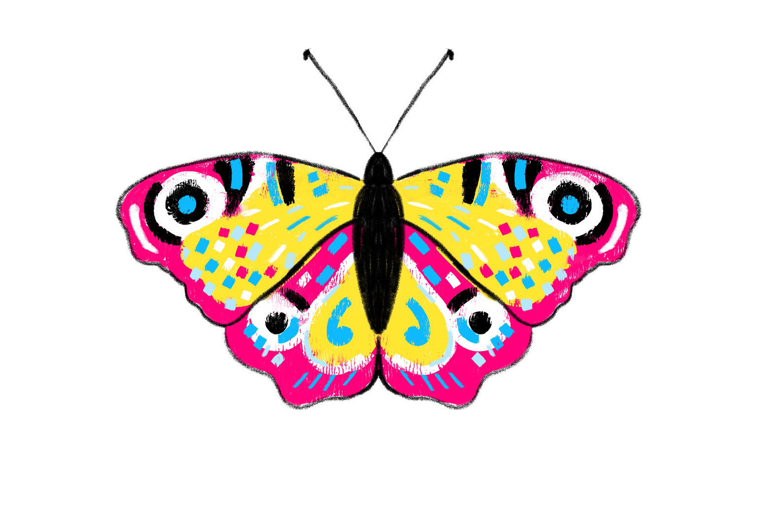 Butterflies from this class - image 4 - student project