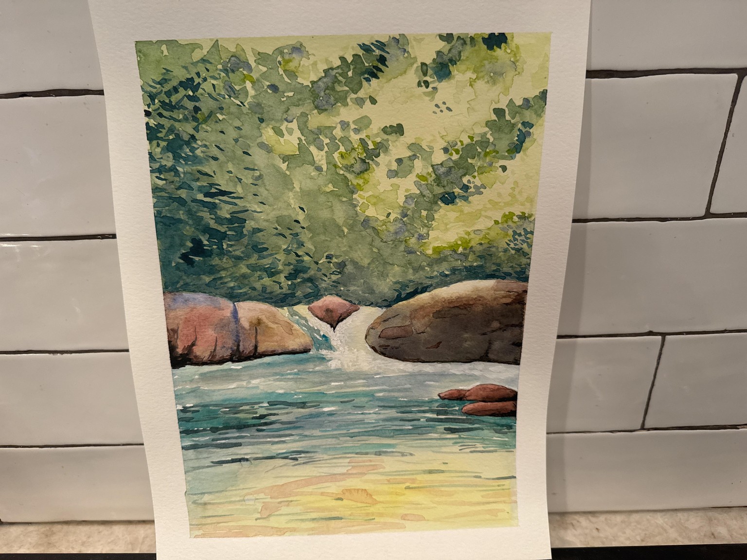 First time painting rocks. Thanks for the wonderful instructions! - image 1 - student project