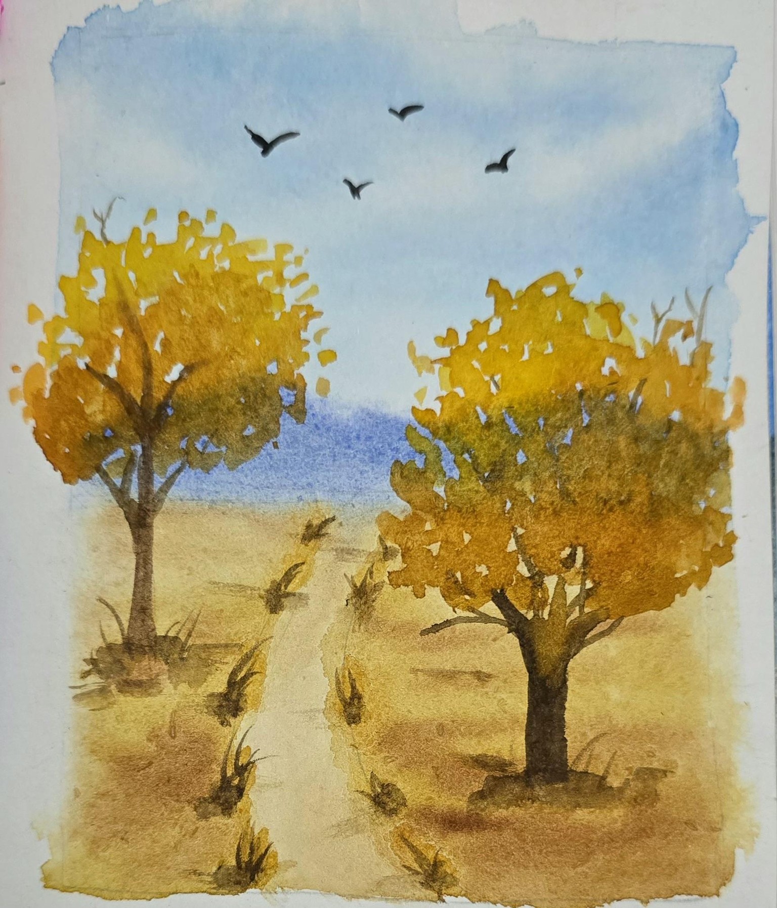 Autumn trees - image 1 - student project