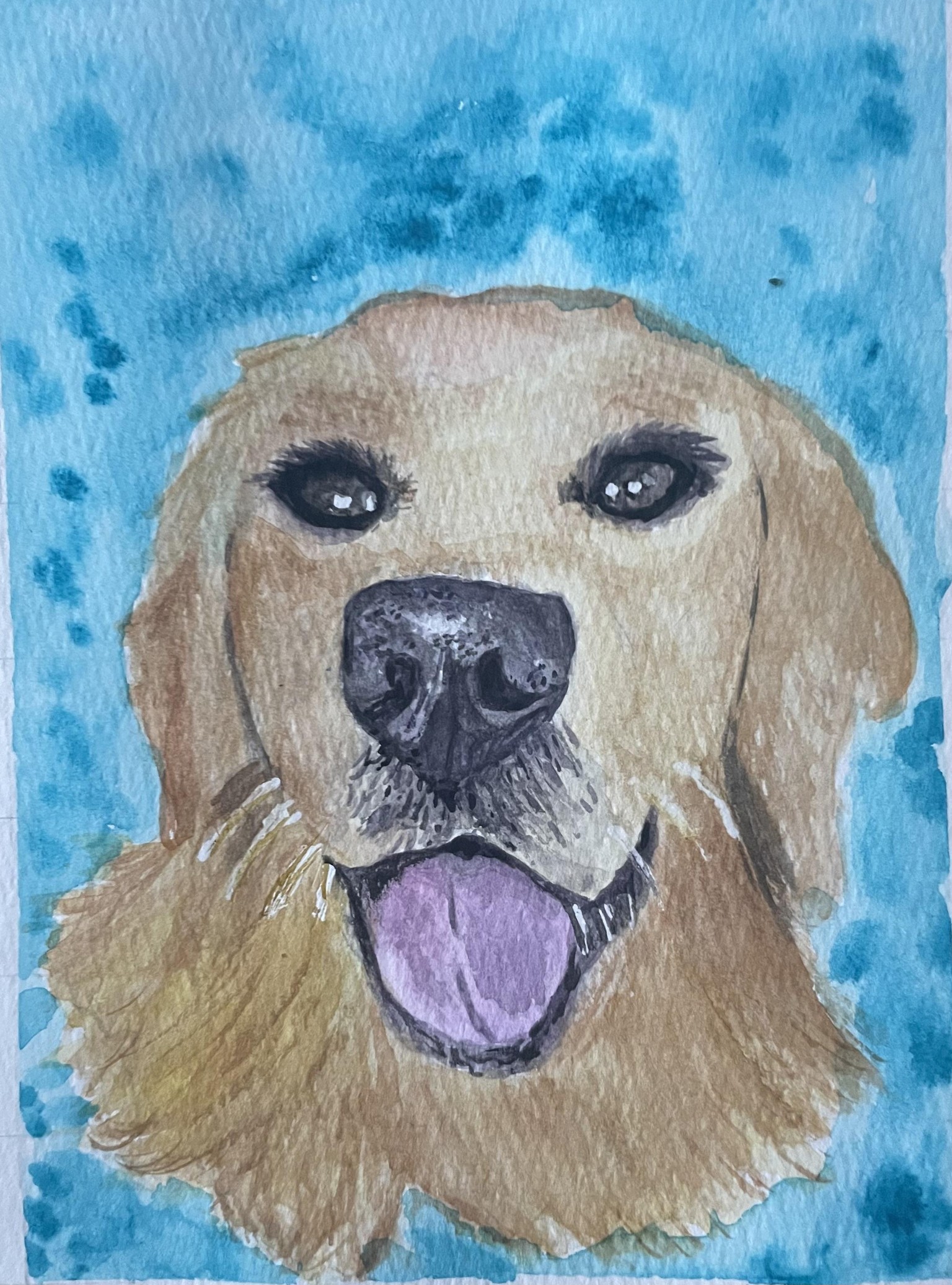 My first dog portrait - image 1 - student project
