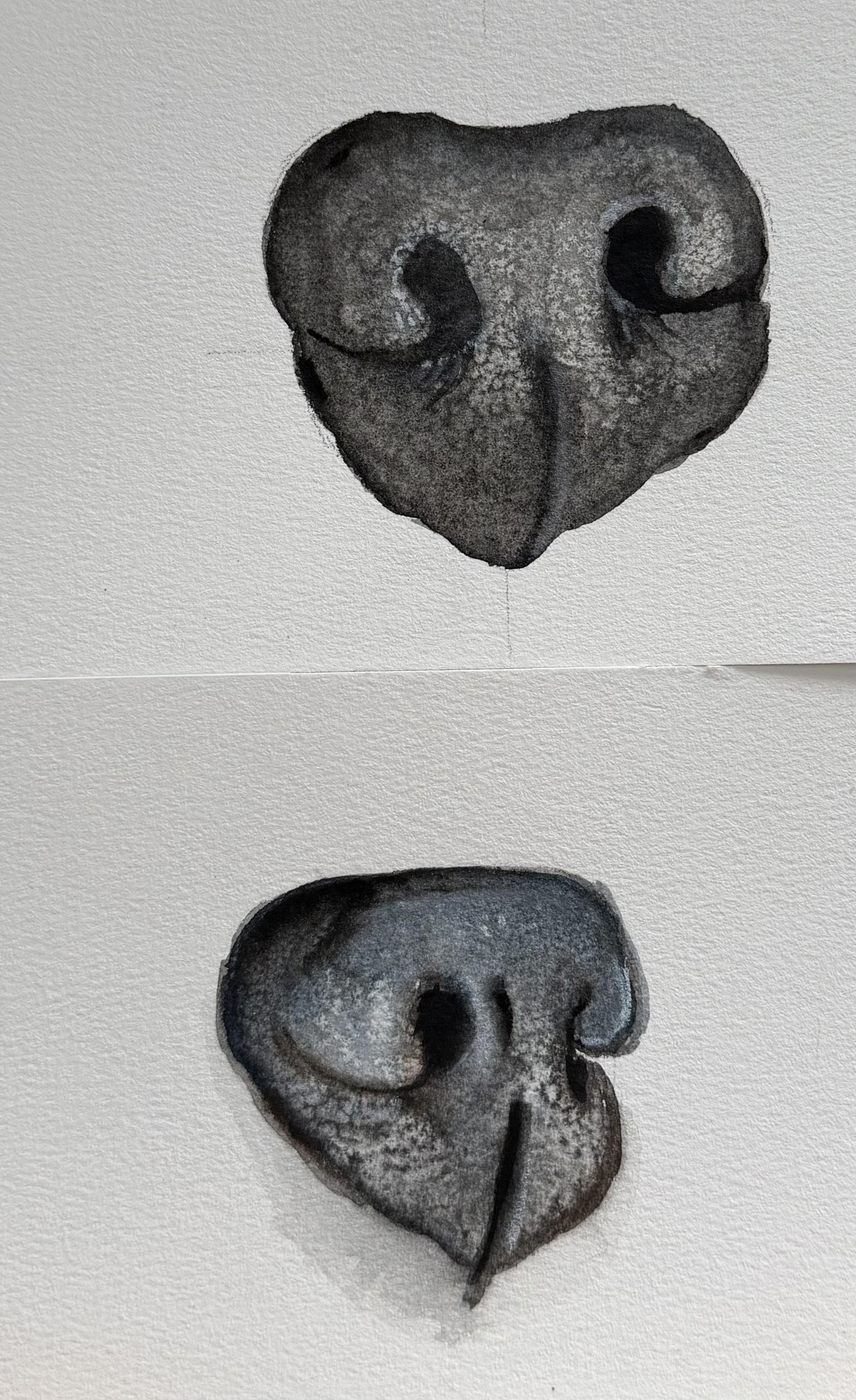 Noses!! - image 2 - student project