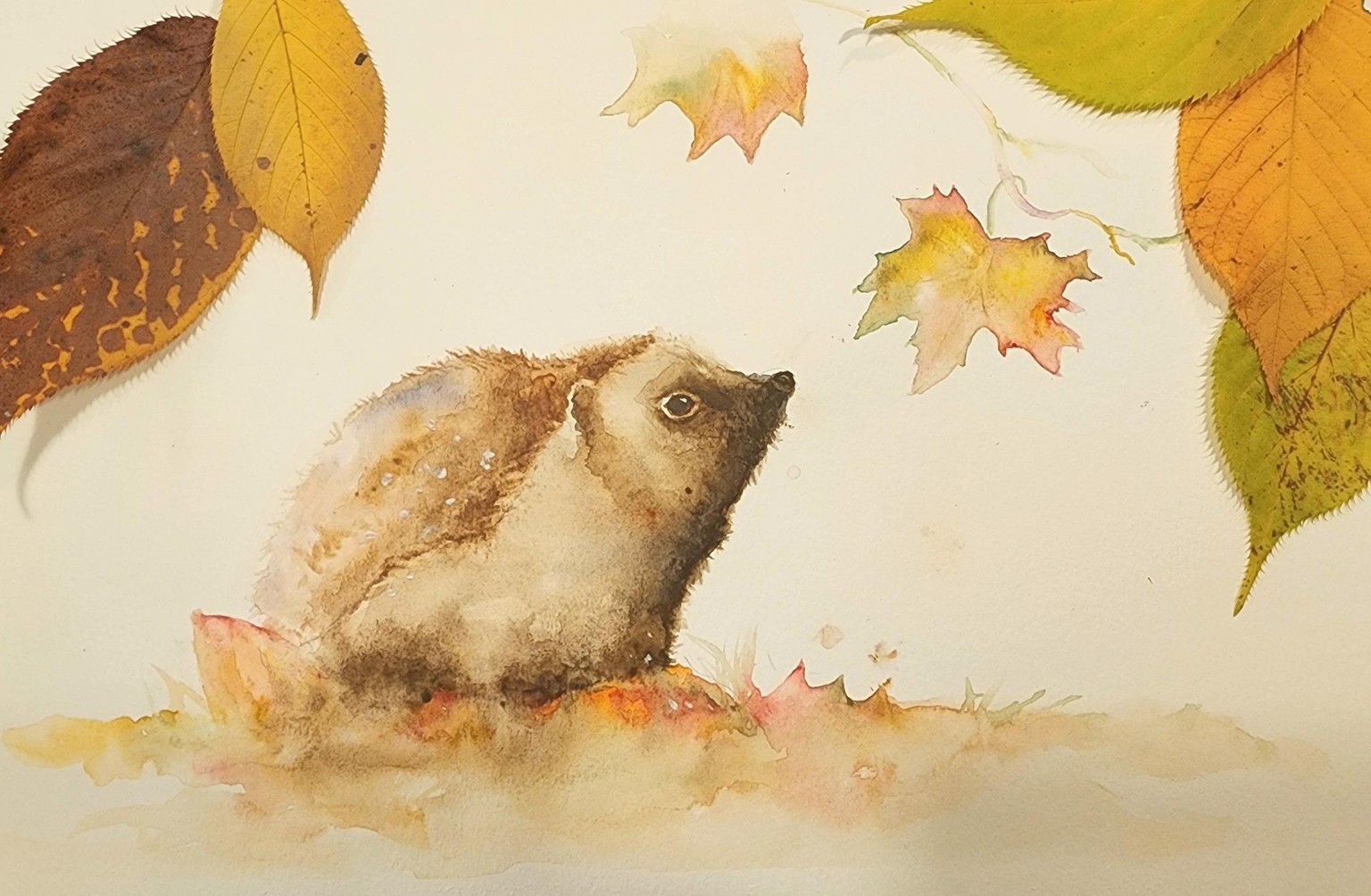Hedgehog - image 1 - student project