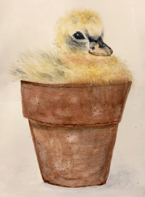 My Love for the Fluffy Duckling 🐥 - image 1 - student project