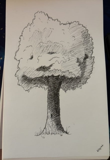 Tree Drawings - image 2 - student project