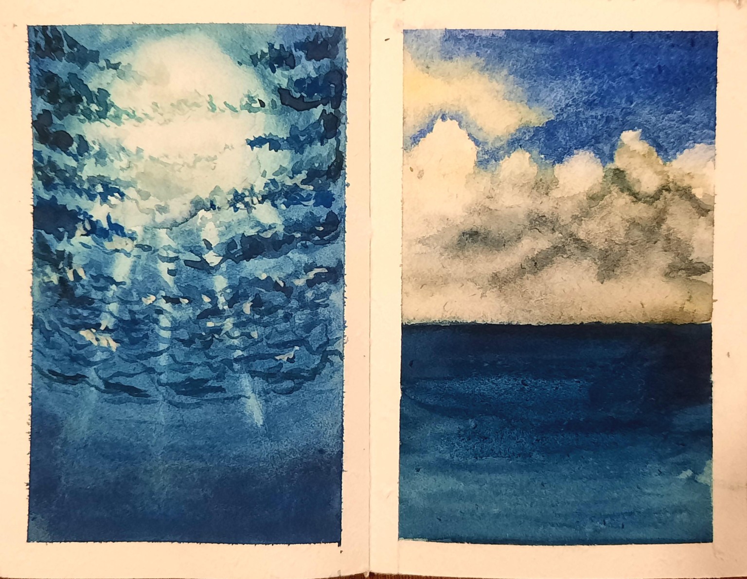 15 days landscape - image 10 - student project