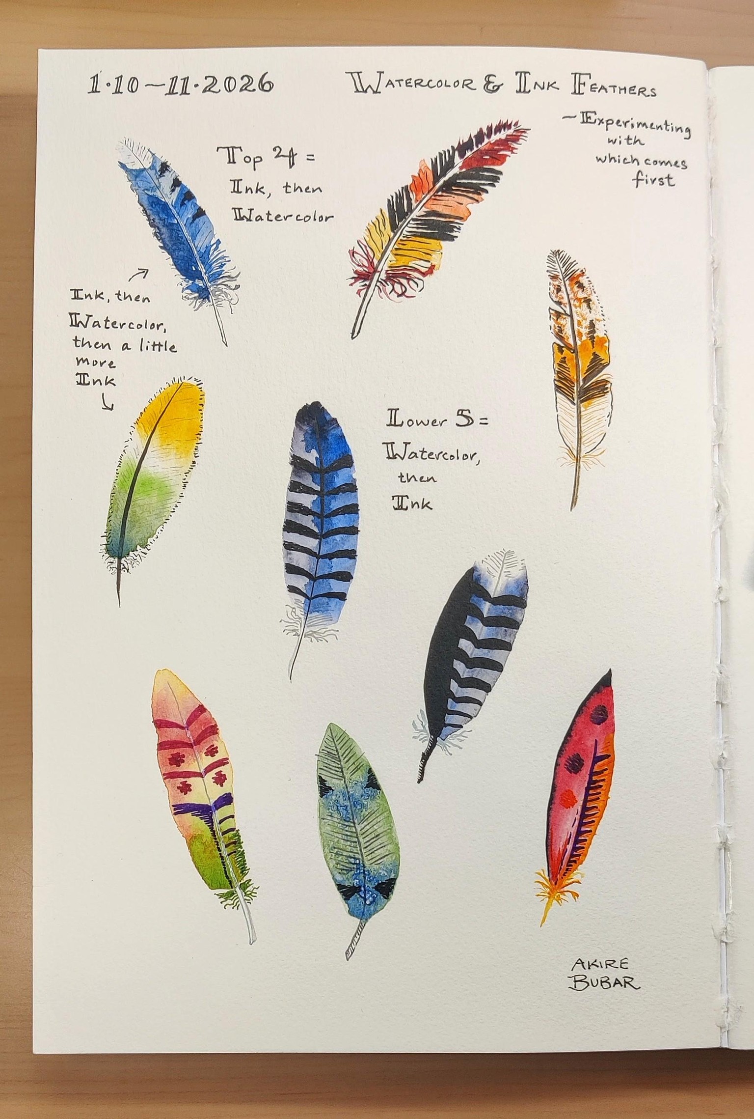 Watercolor & Ink Feathers - image 2 - student project