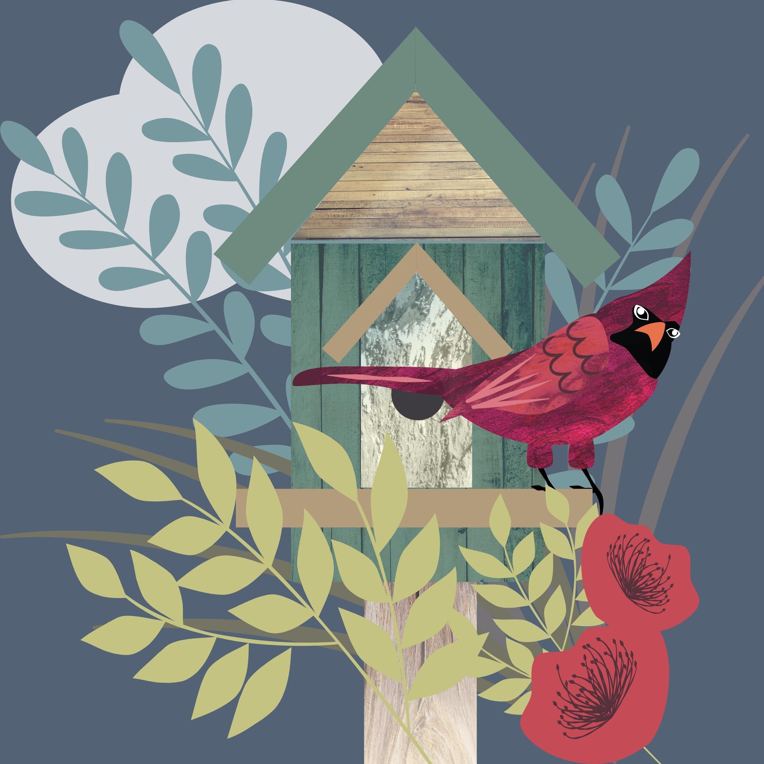 Angry Bird - image 1 - student project