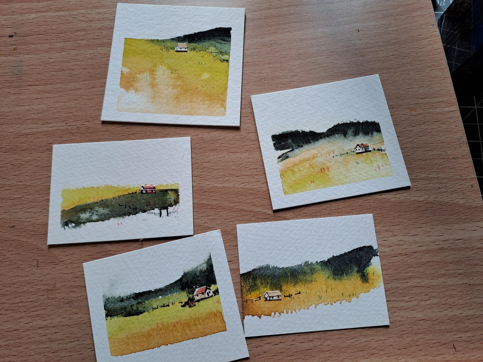 experimental landscapes - image 1 - student project