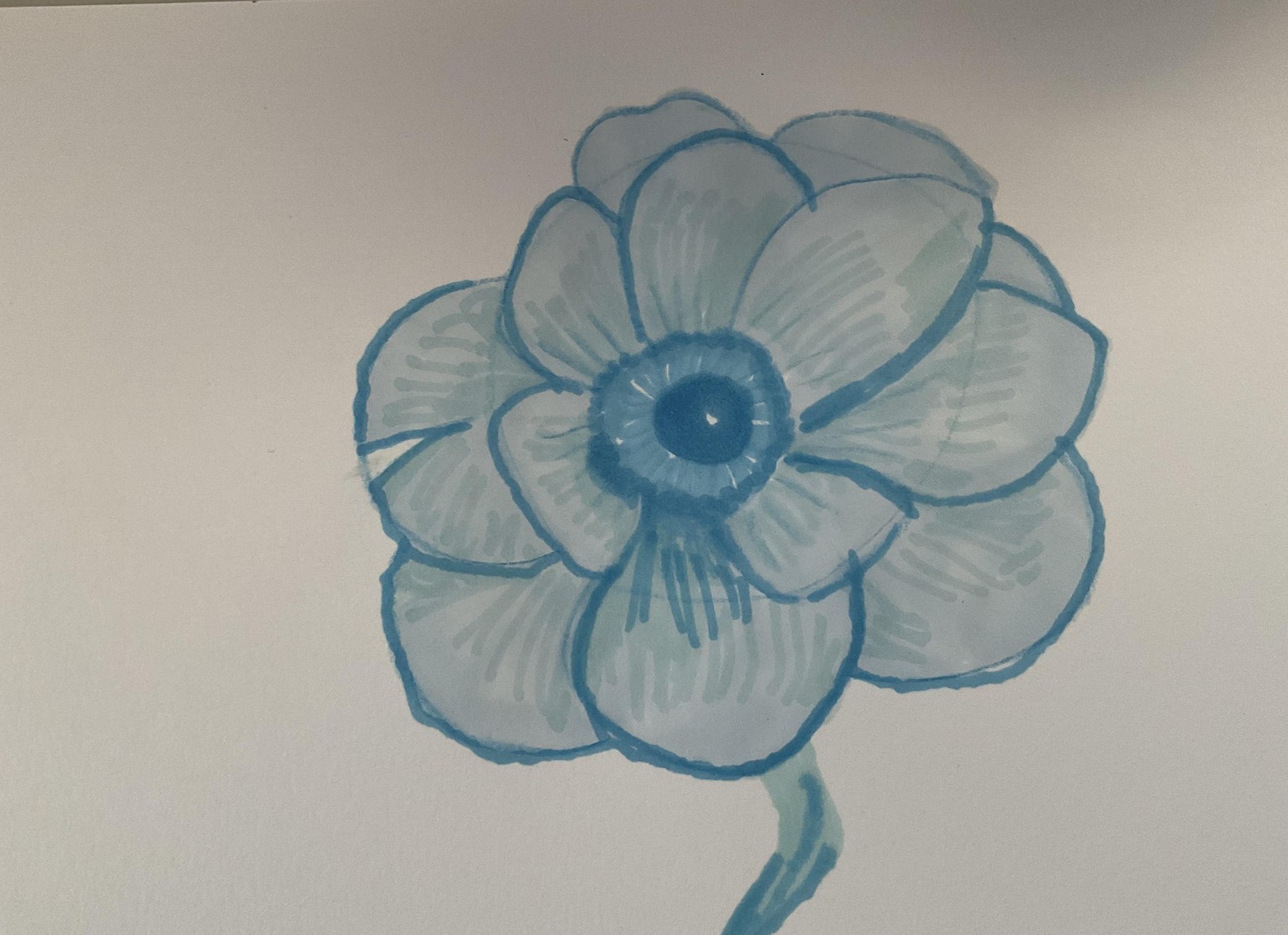 Blue anémone - image 3 - student project