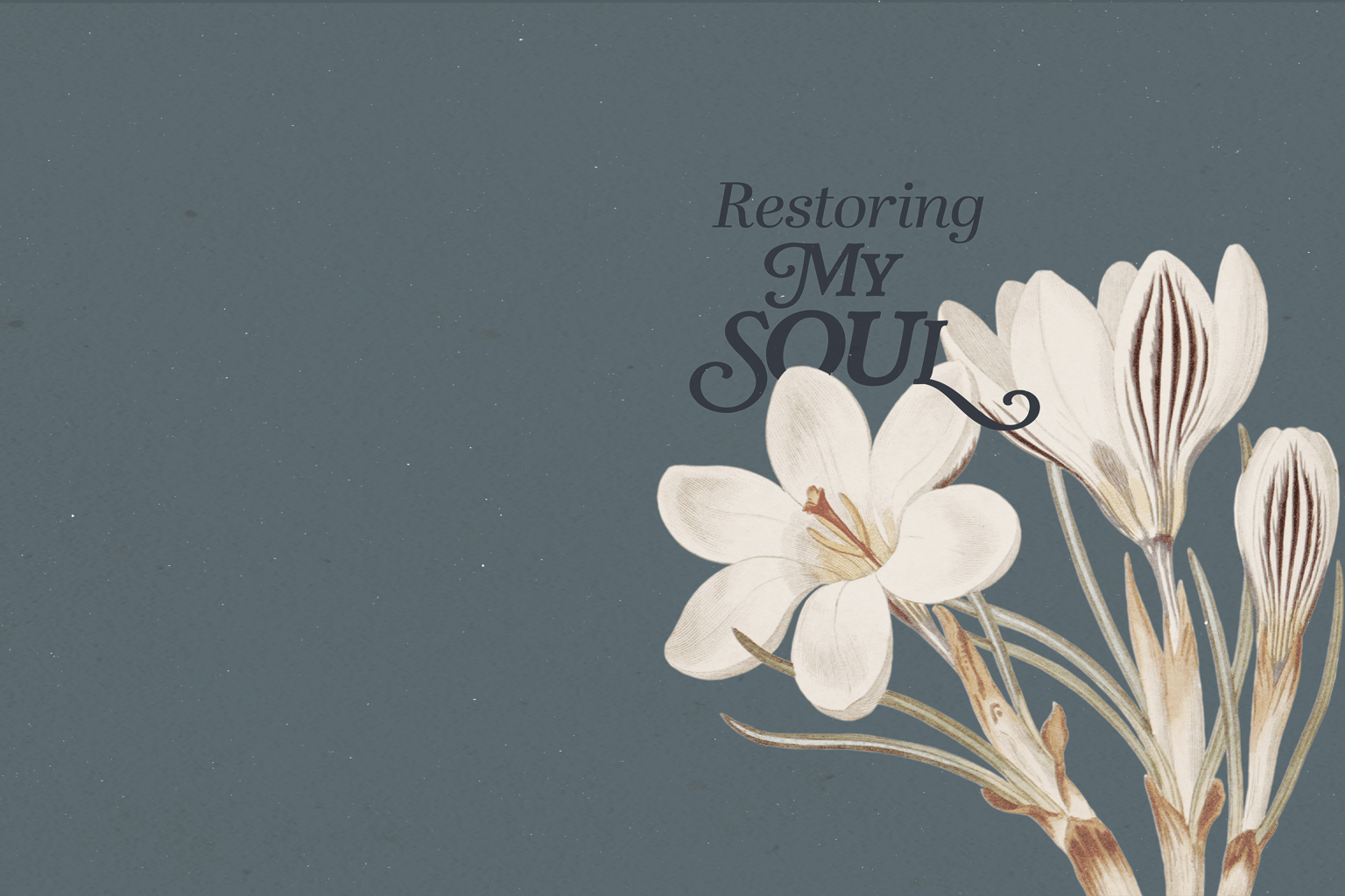 Crocus Botanical Notebook - image 1 - student project