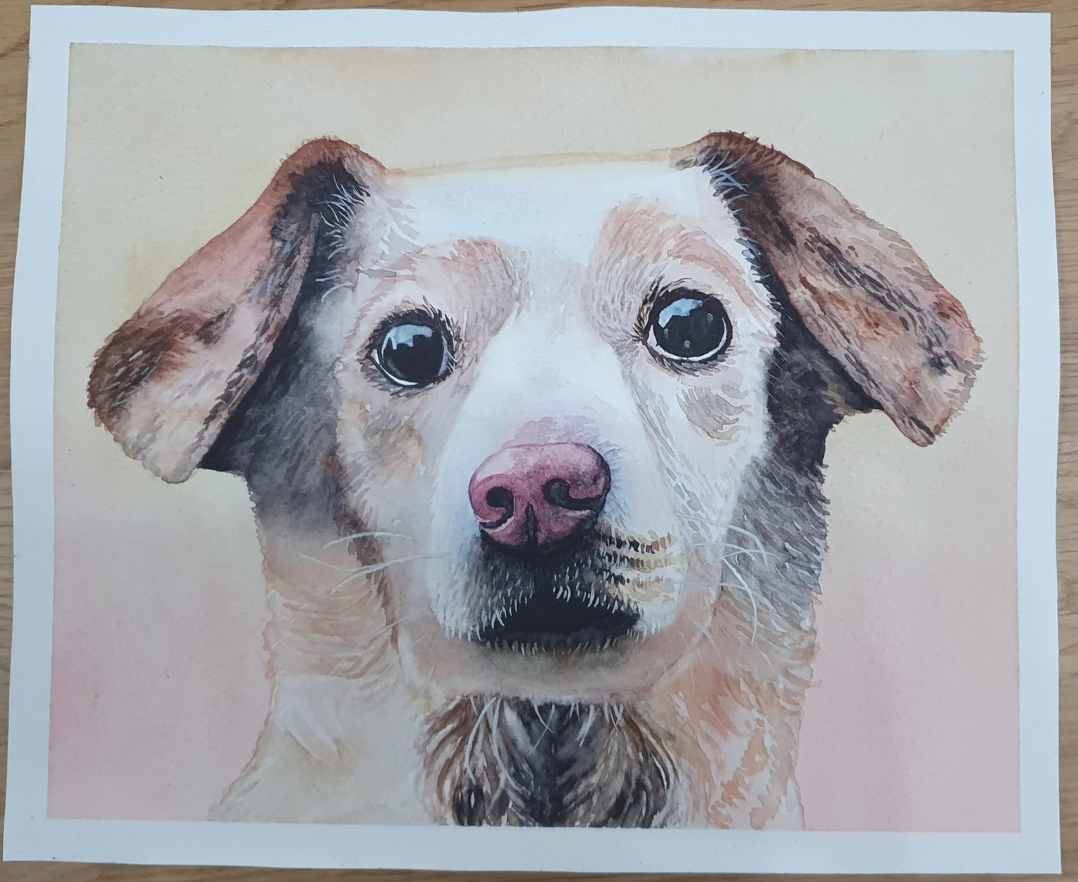 Doggy delight - image 1 - student project