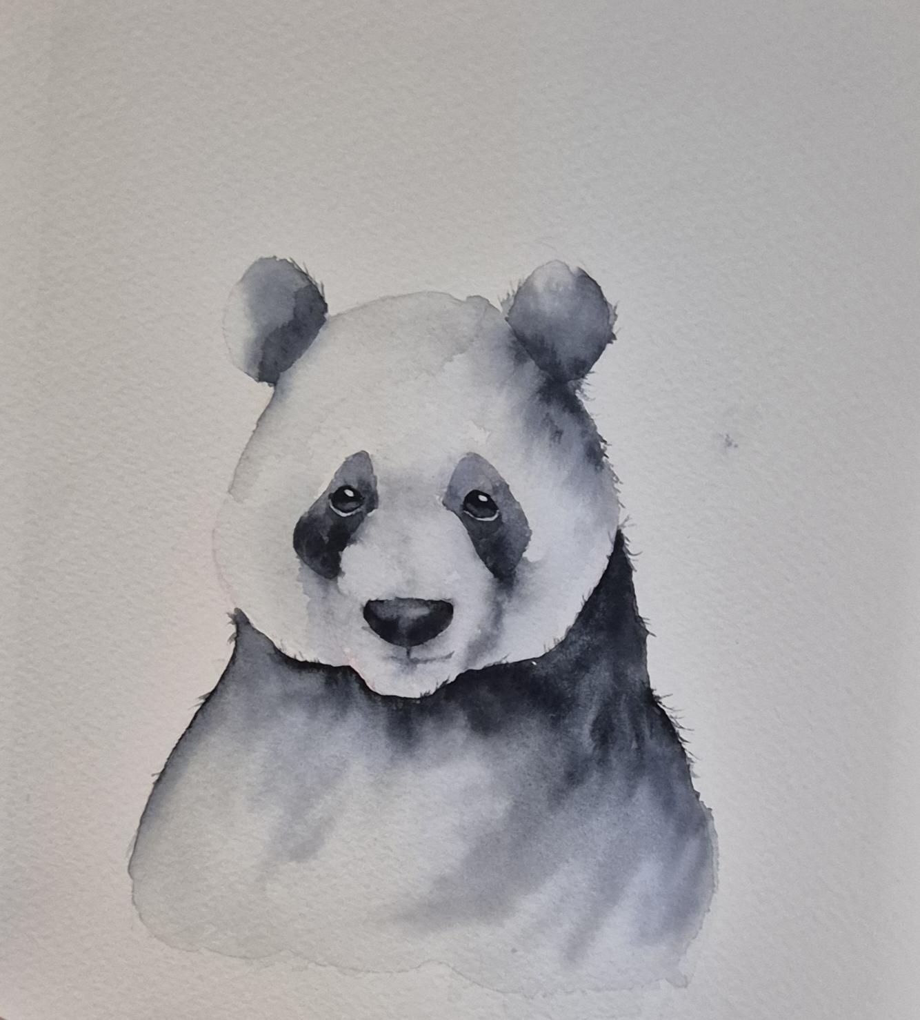 Panda watercolor - image 1 - student project