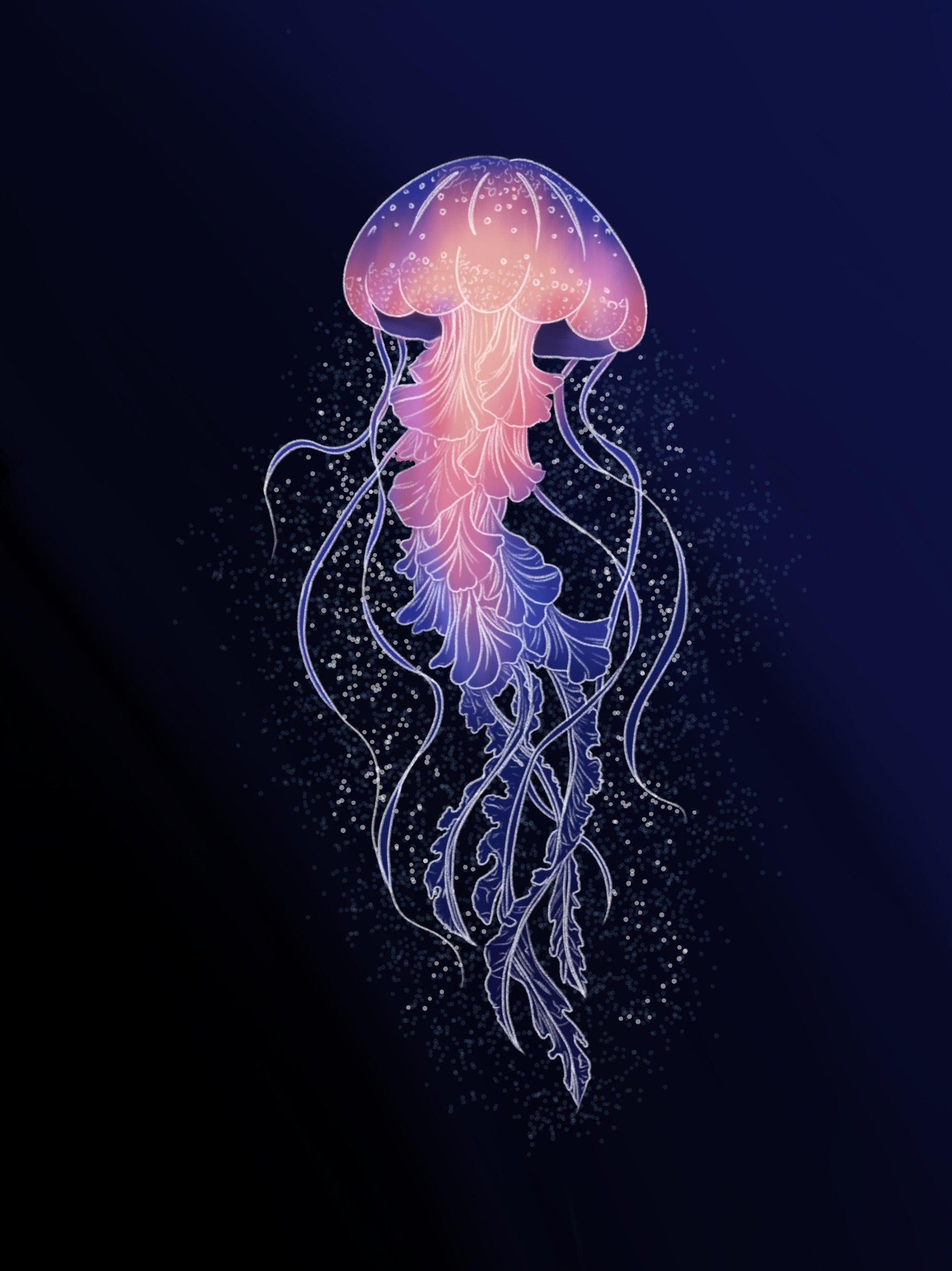 Jelly Fish - image 1 - student project