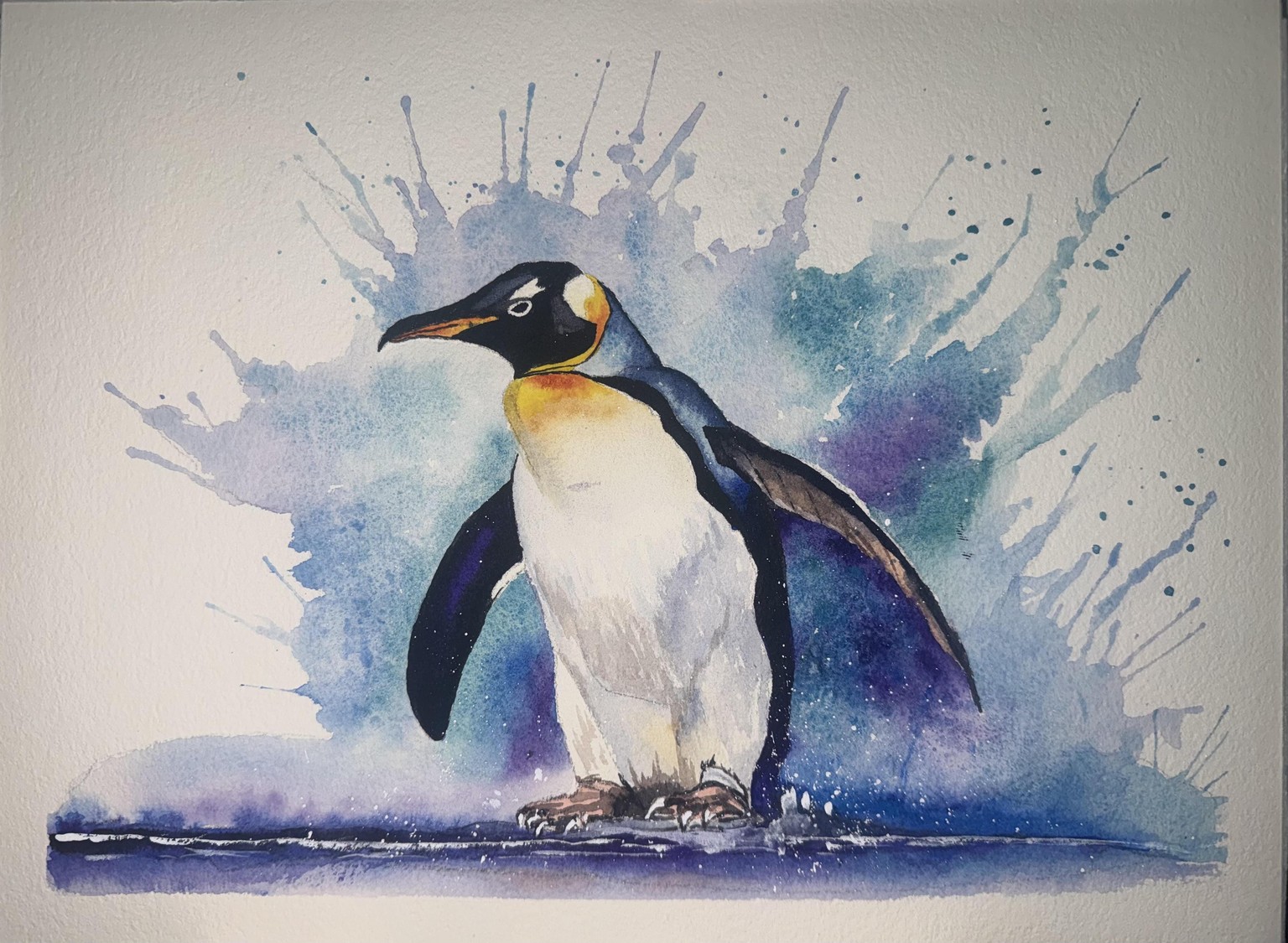 Splashy Penguin - image 1 - student project
