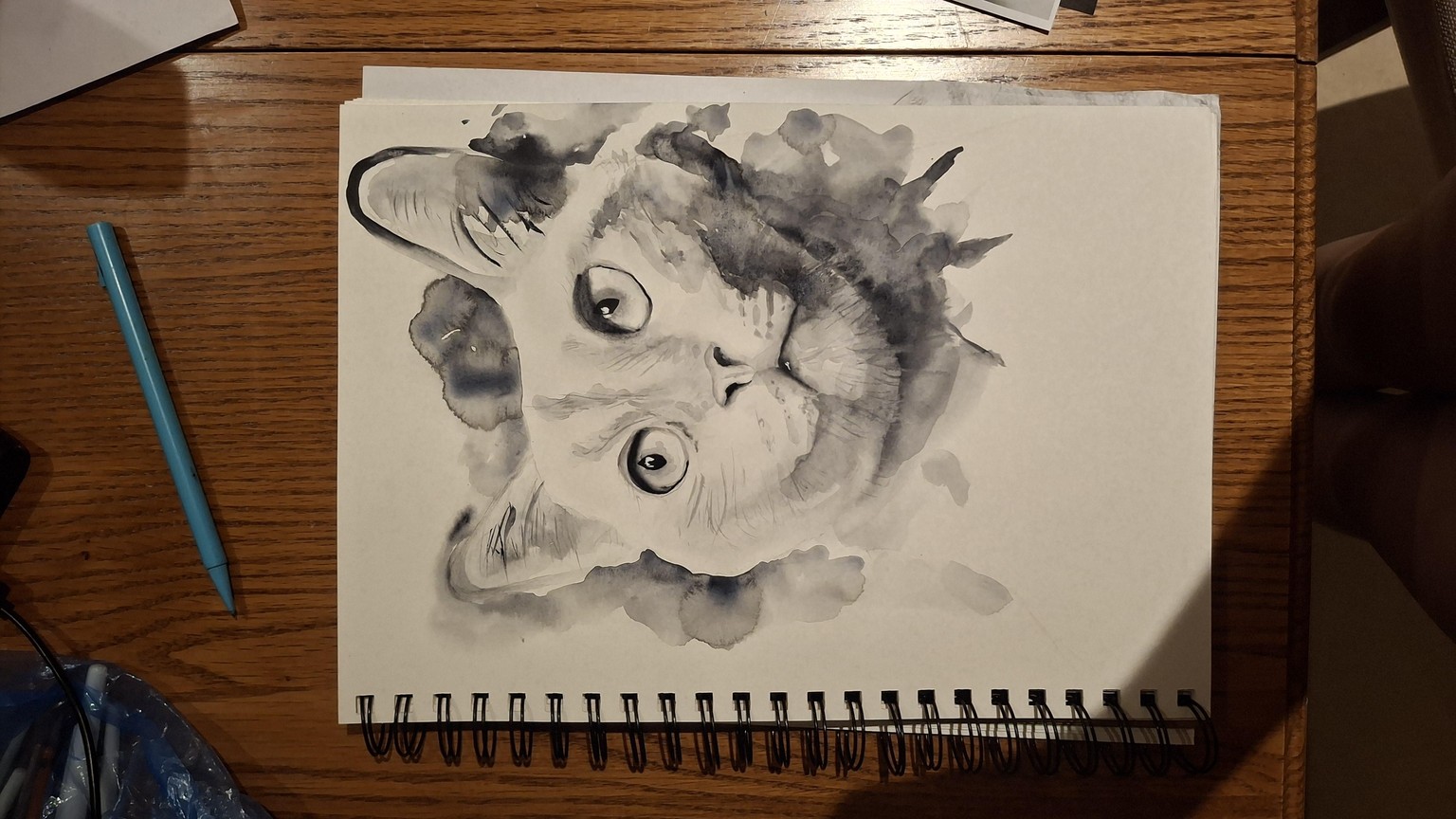 Sketching and shading cat - image 1 - student project