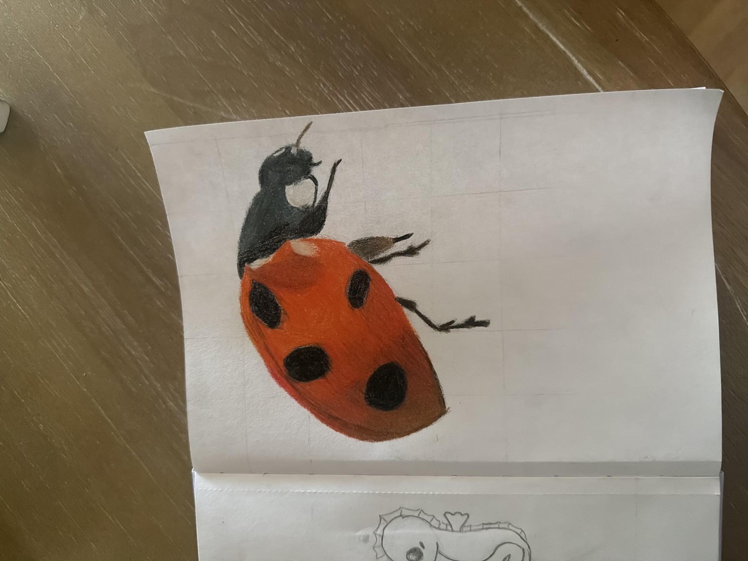 Lady bug realism in colored pencils - image 1 - student project