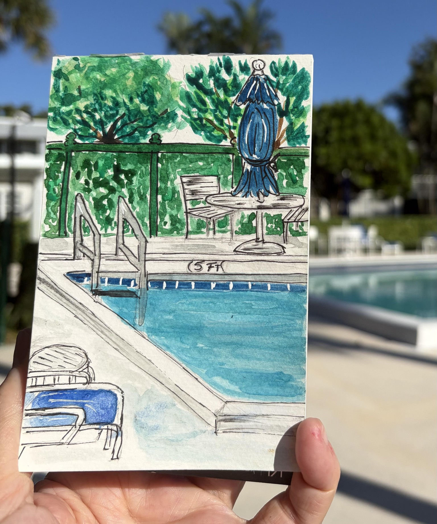 Hanging by the pool - image 2 - student project