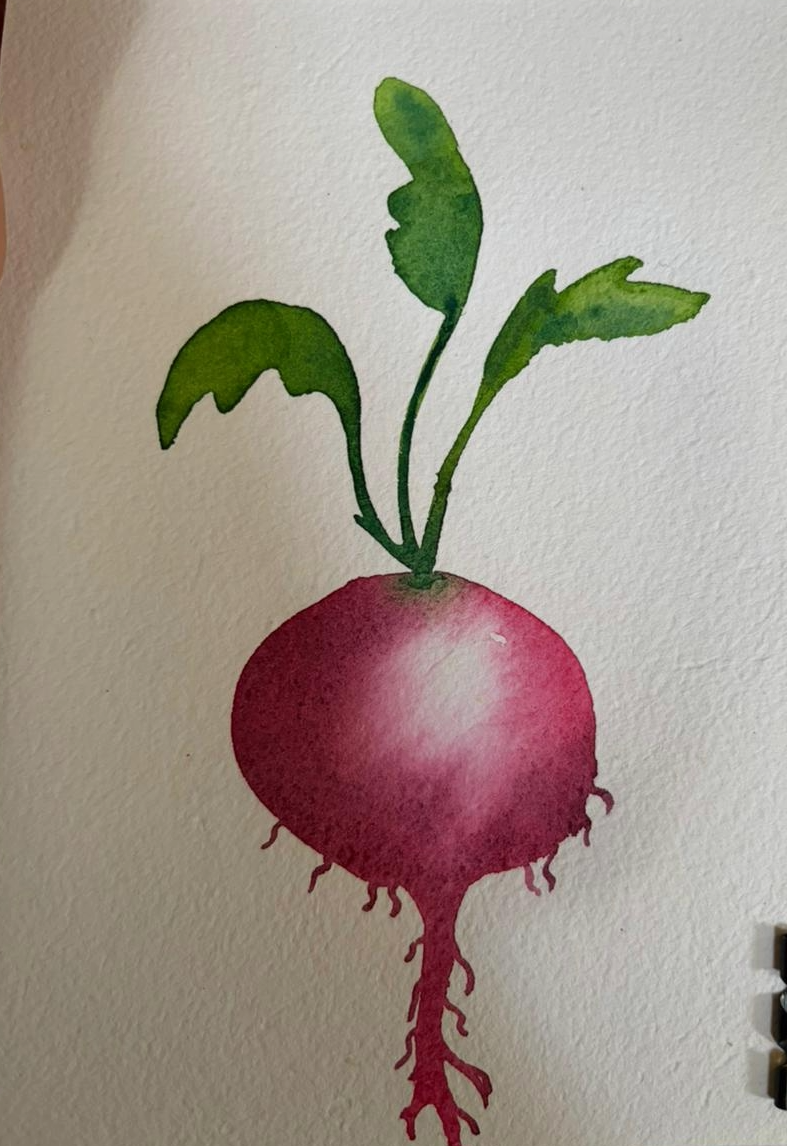 cute veggies - image 1 - student project