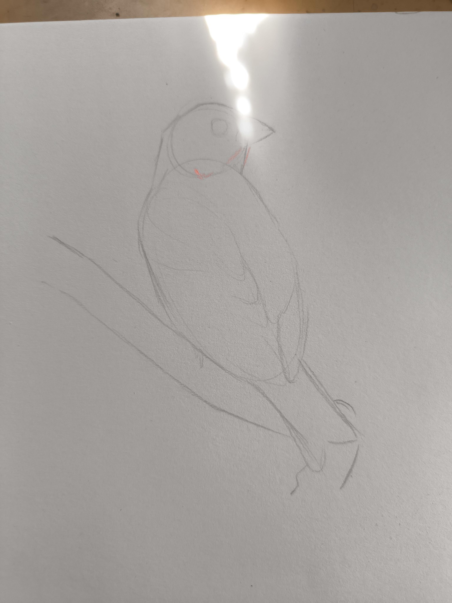 Exercises 3 to 6 - image 2 - student project