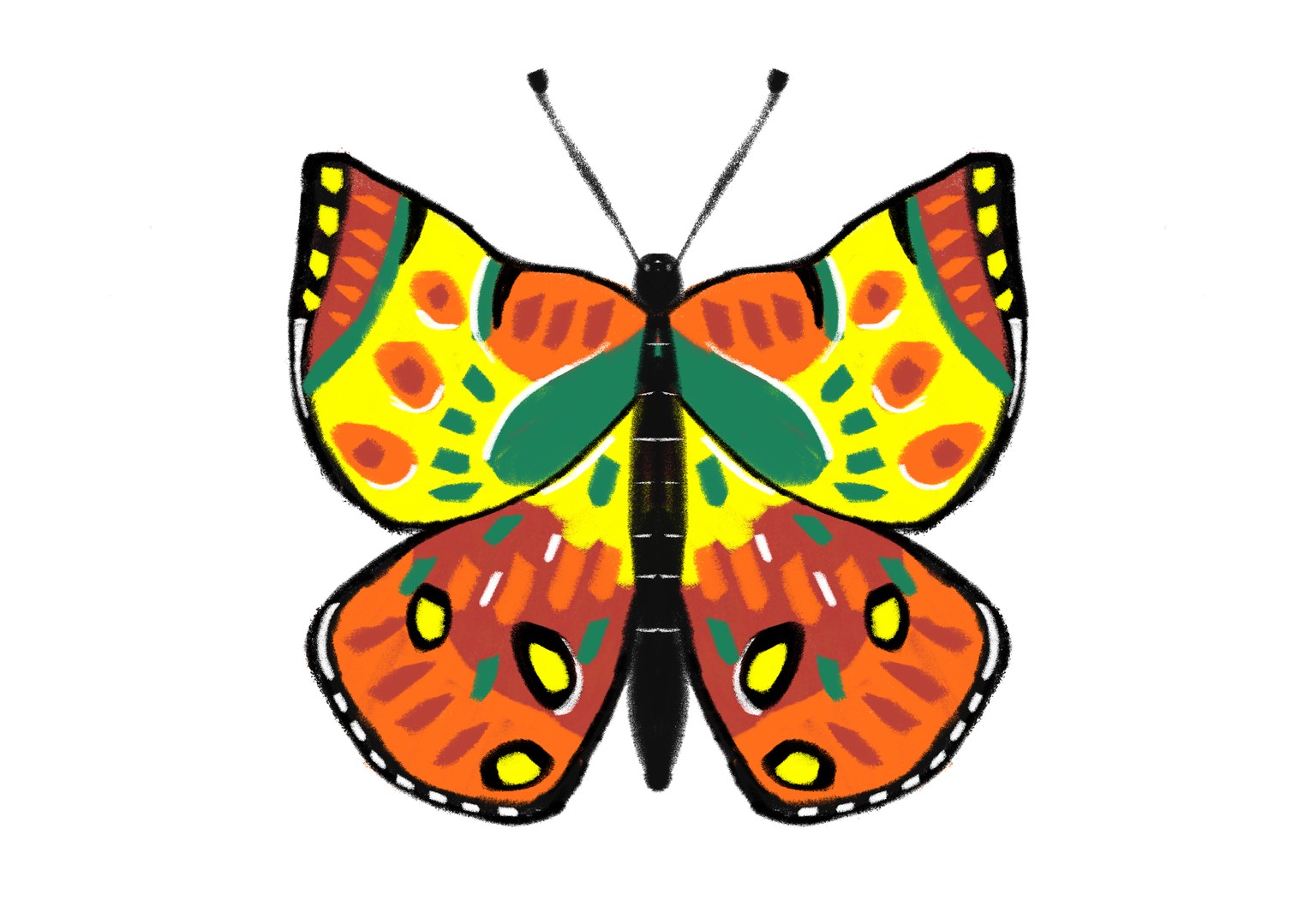 Butterflies from this class - image 3 - student project