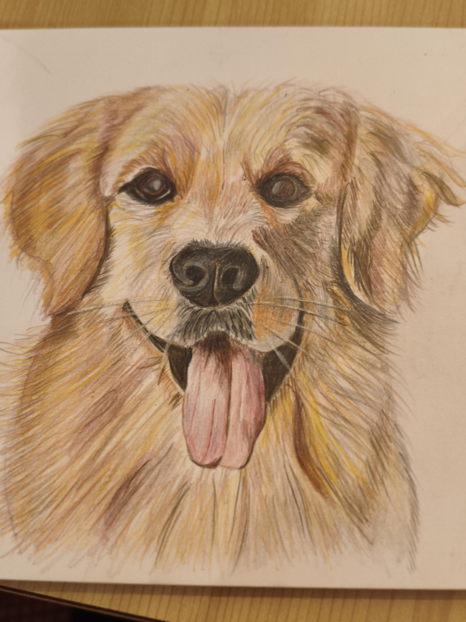 First Pencils Dog - image 1 - student project
