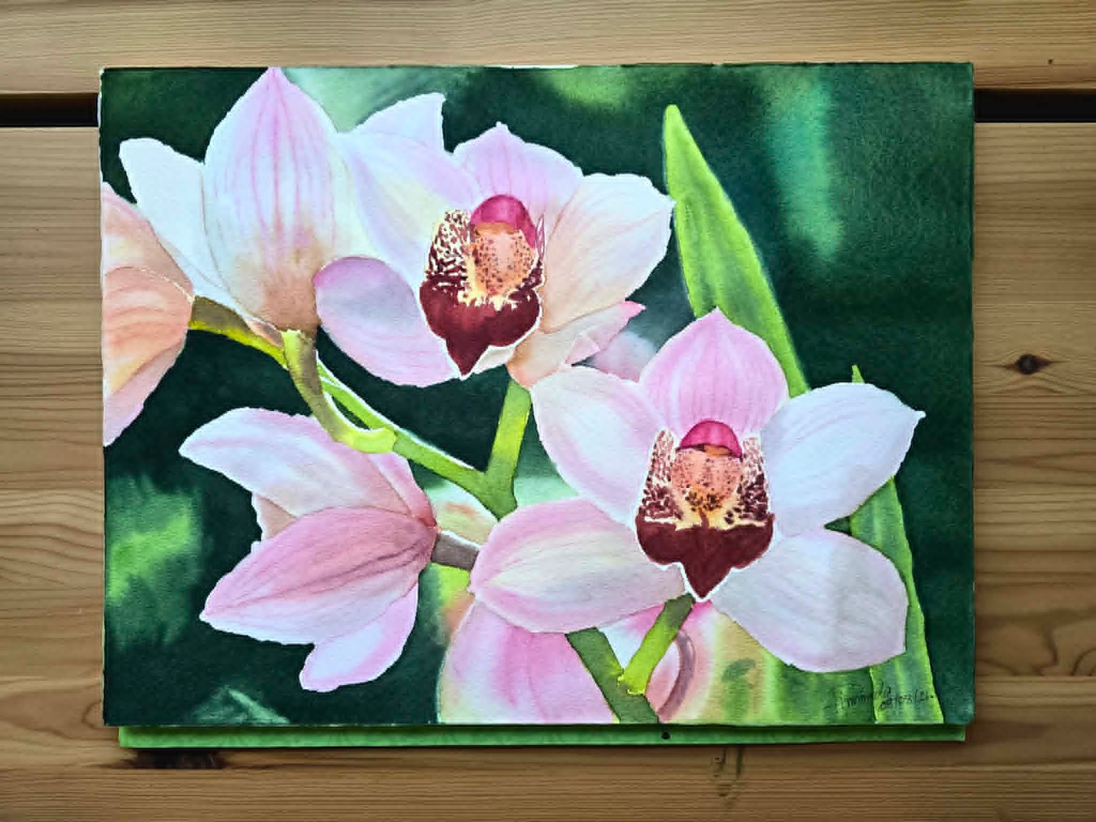 Orchids - image 1 - student project