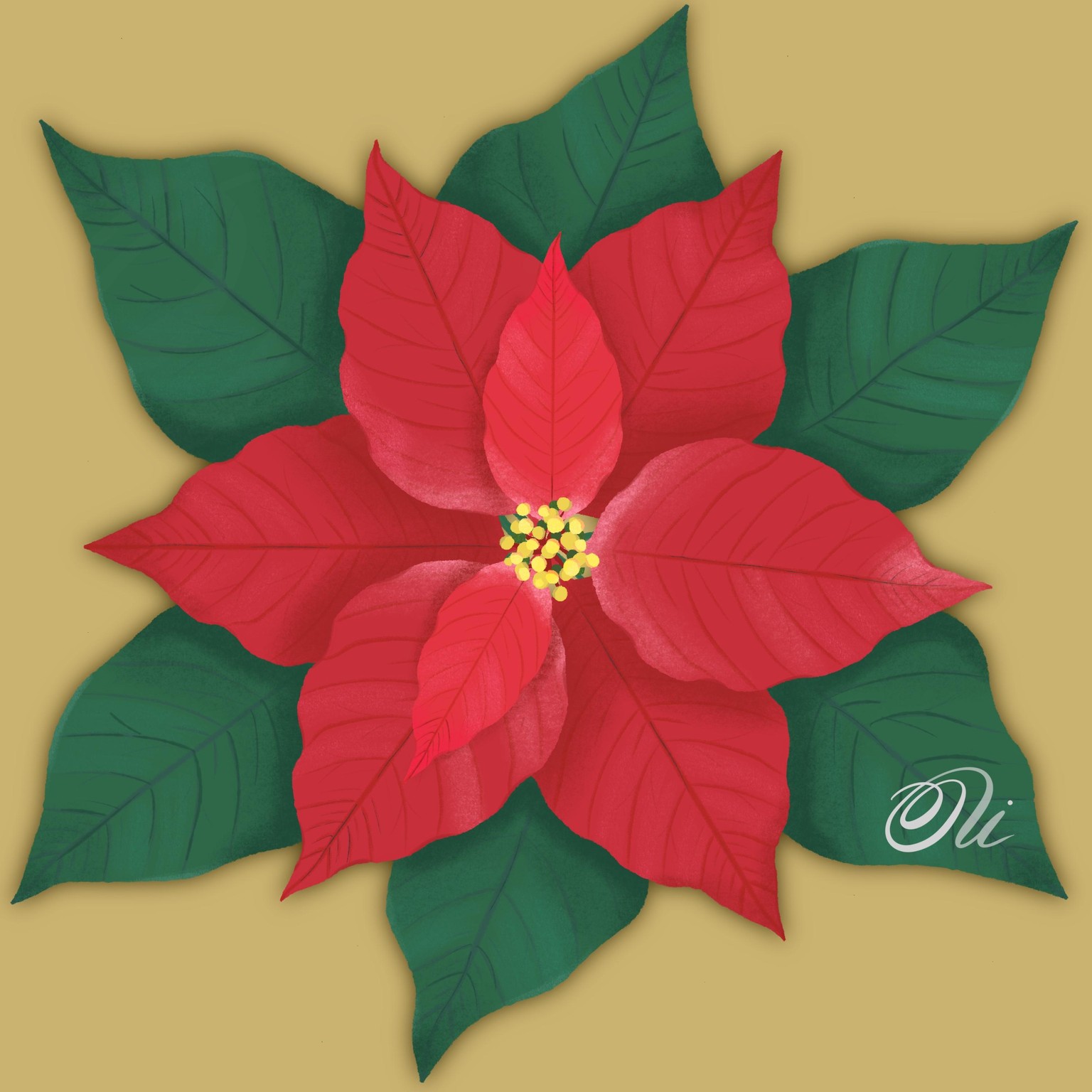 Poinsettia - image 2 - student project