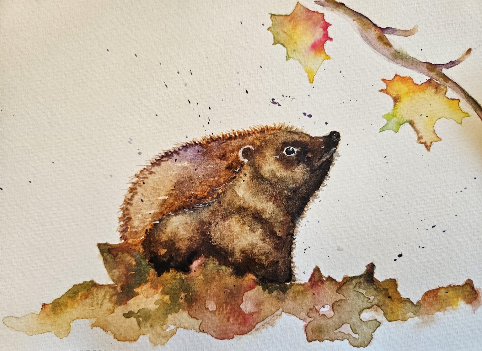 Little Hedgie 1 & 2 - image 1 - student project