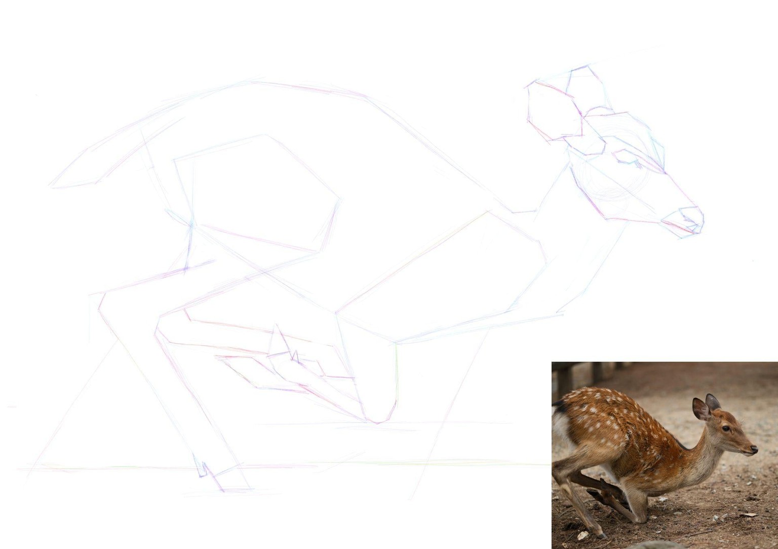 Envelope painting of a deer(doe? ) - image 1 - student project