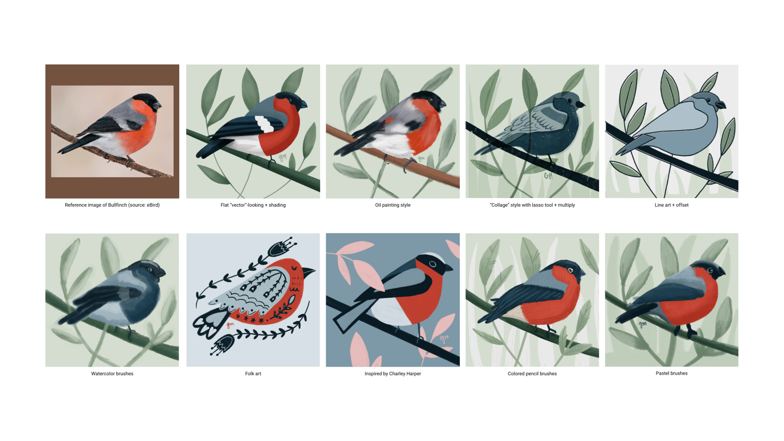 A bullfinch in 9 ways - image 1 - student project