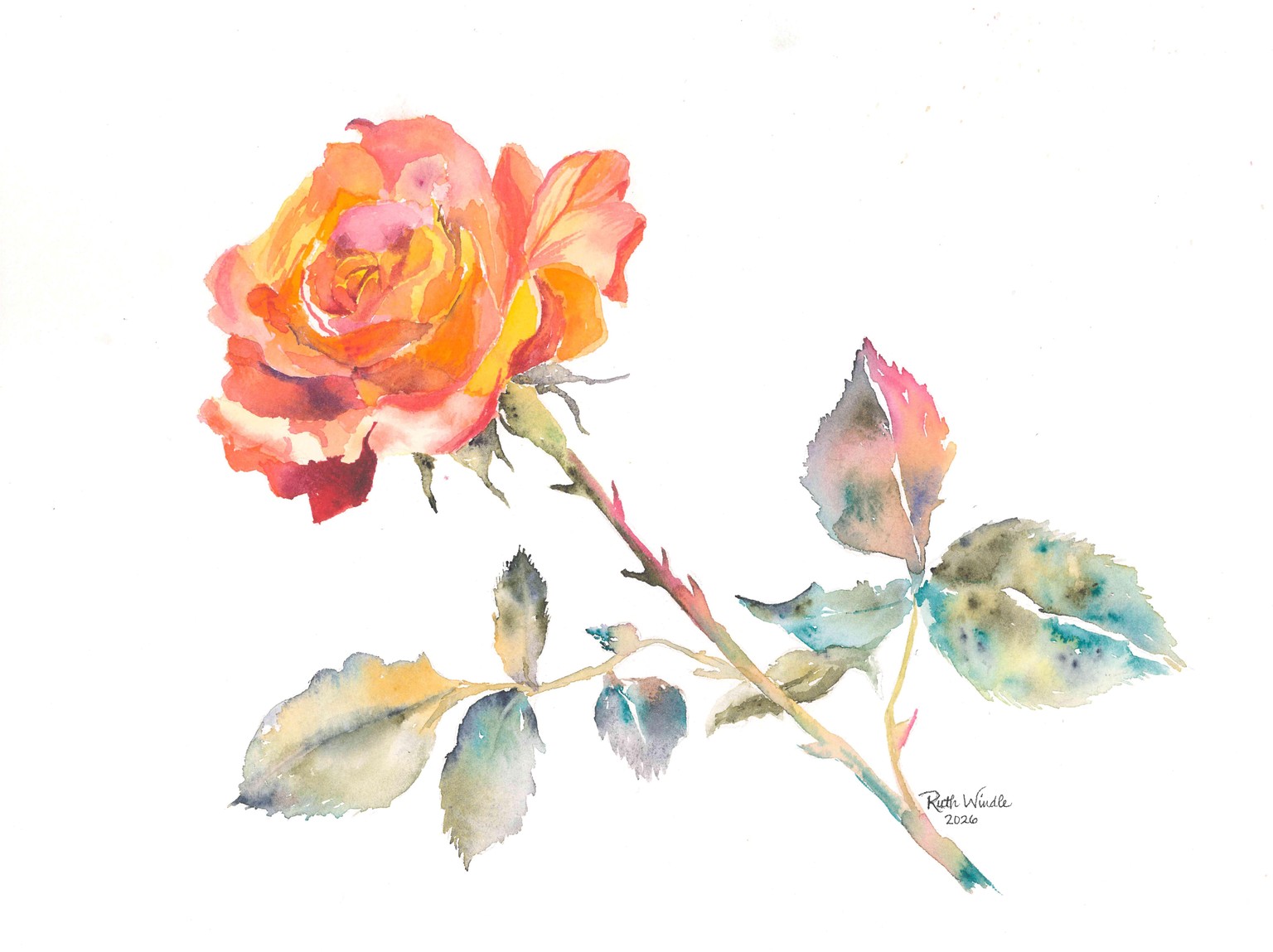 Yellow rose - image 1 - student project