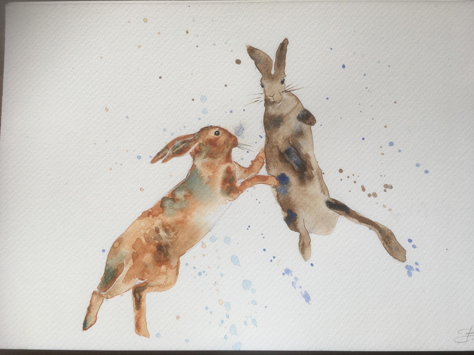 Jumping hares - image 1 - student project