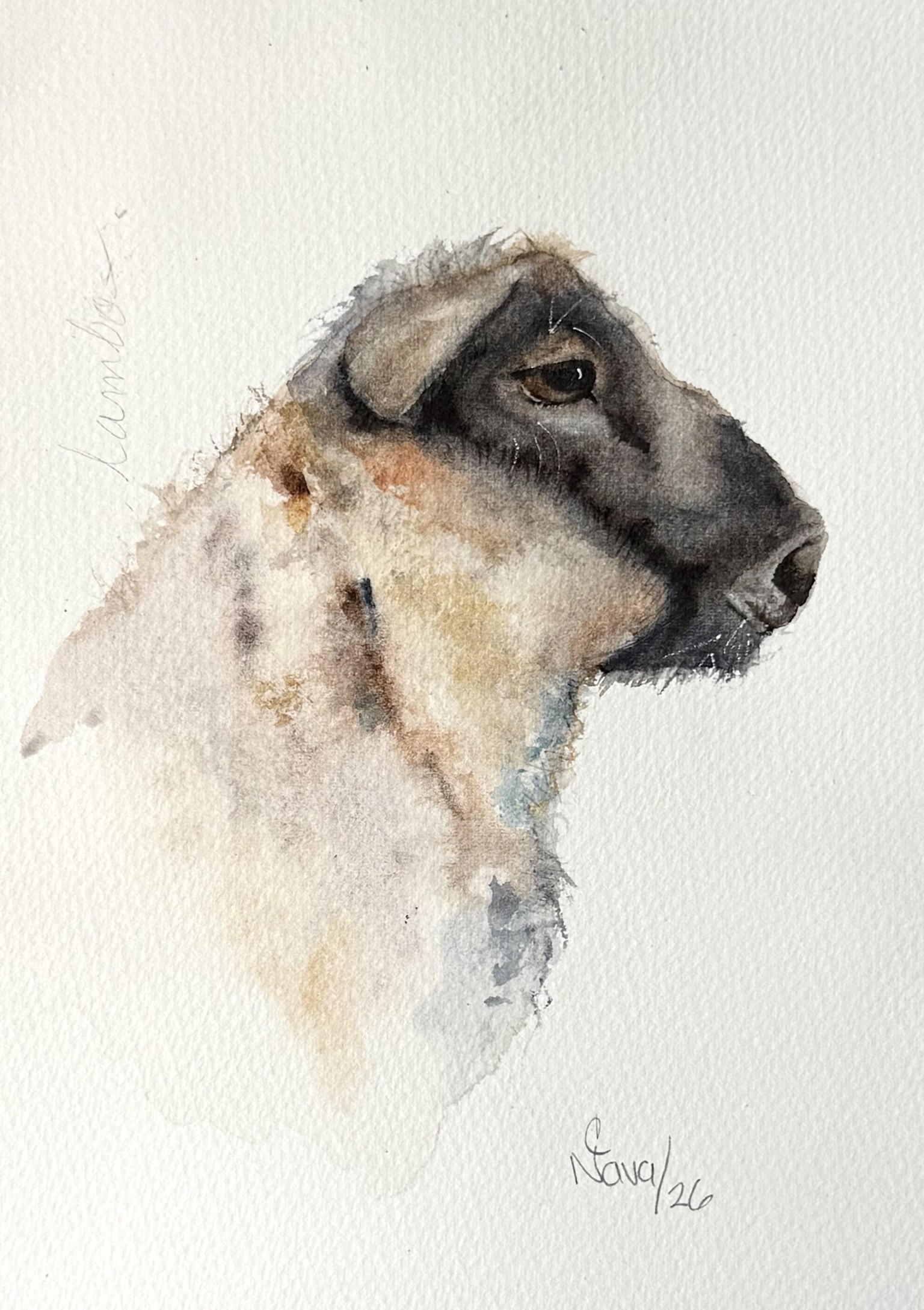 Lambo 🐑 - image 1 - student project