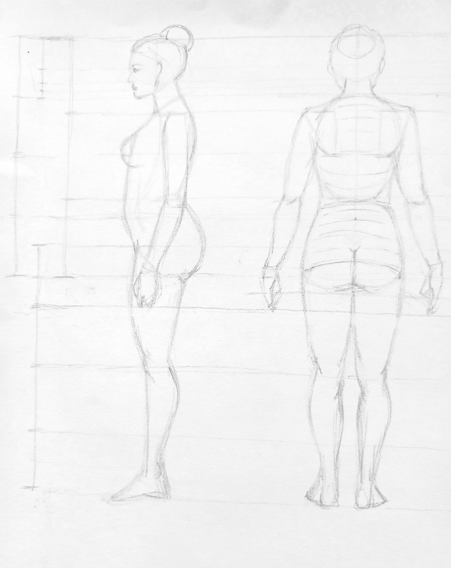 Body Proportions - image 3 - student project