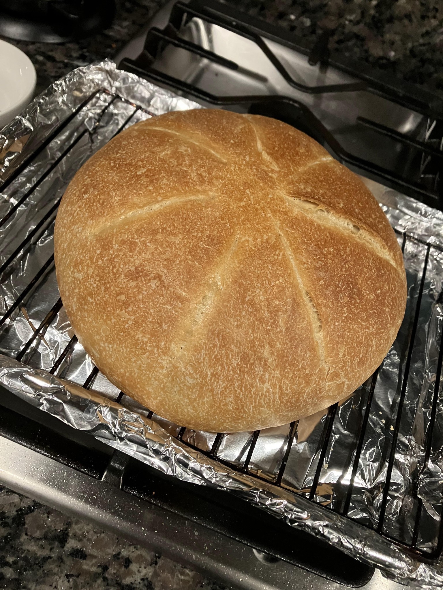 Sourdough - image 1 - student project